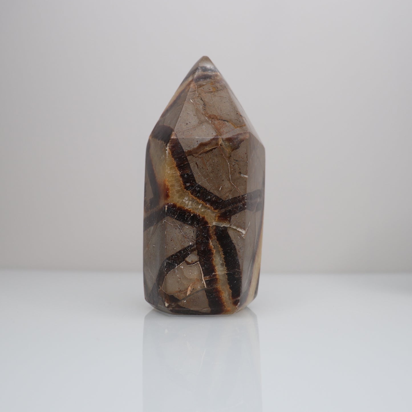 Septarian Tower | 2