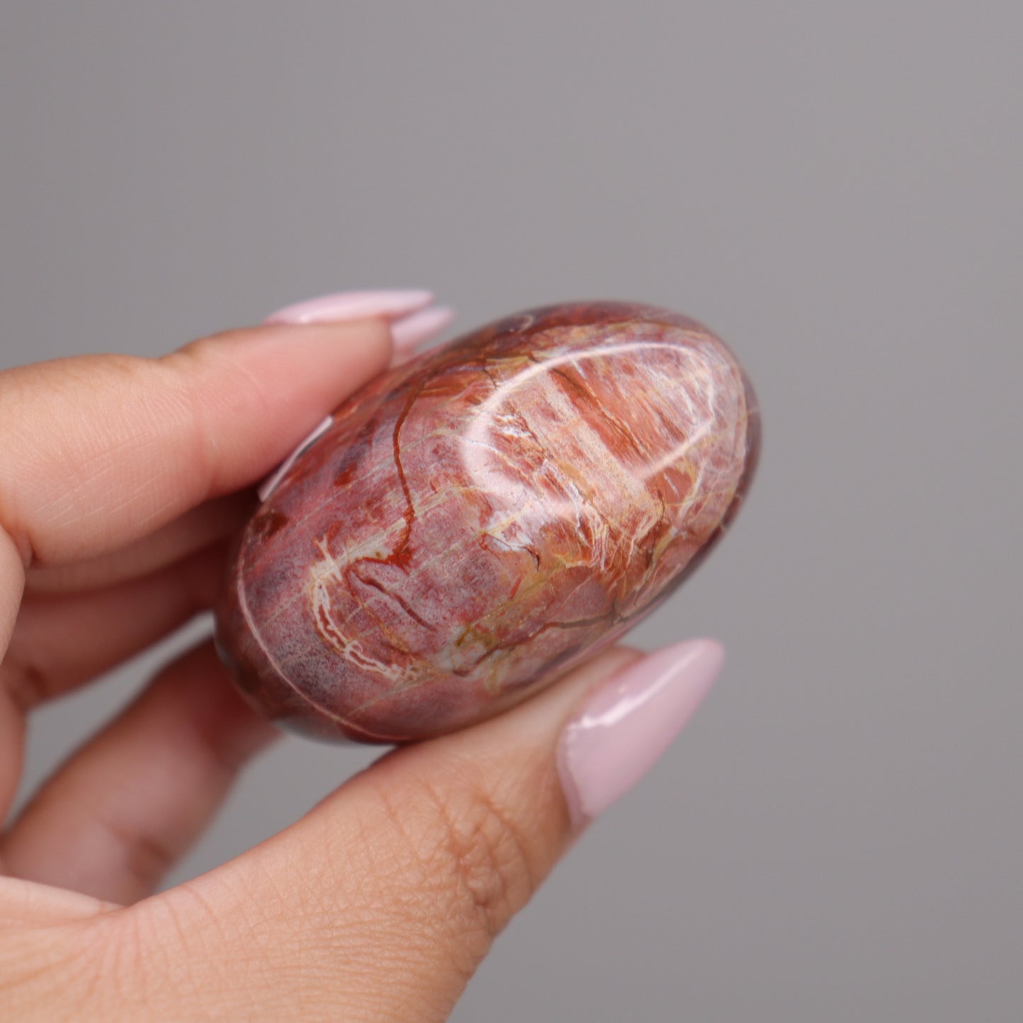 Petrified Wood Palm Stone | 2