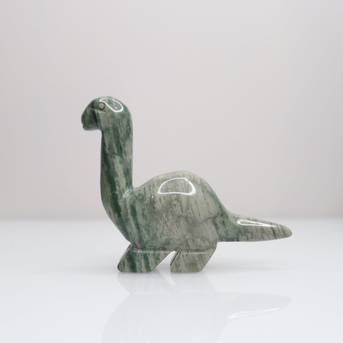 Polychrome Dinosaur | 7