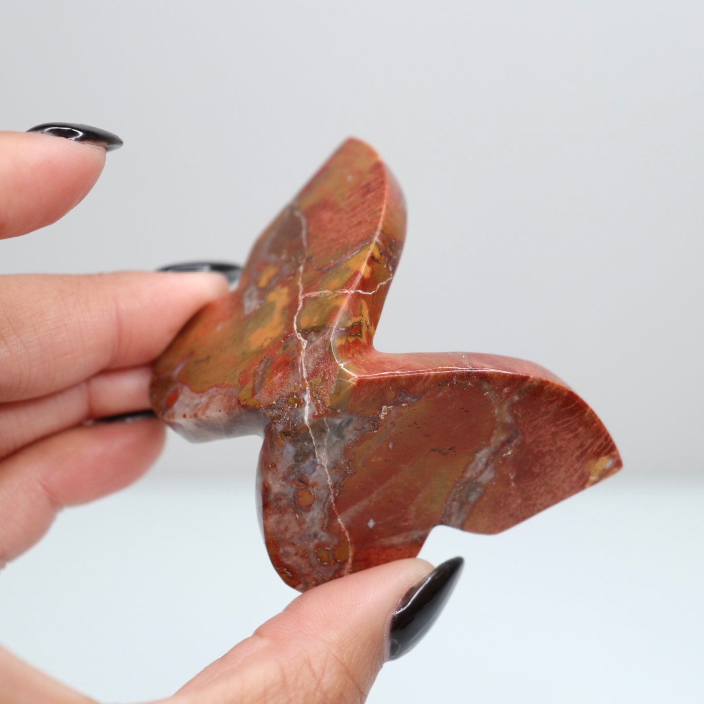 Cobra Jasper Butterfly 5