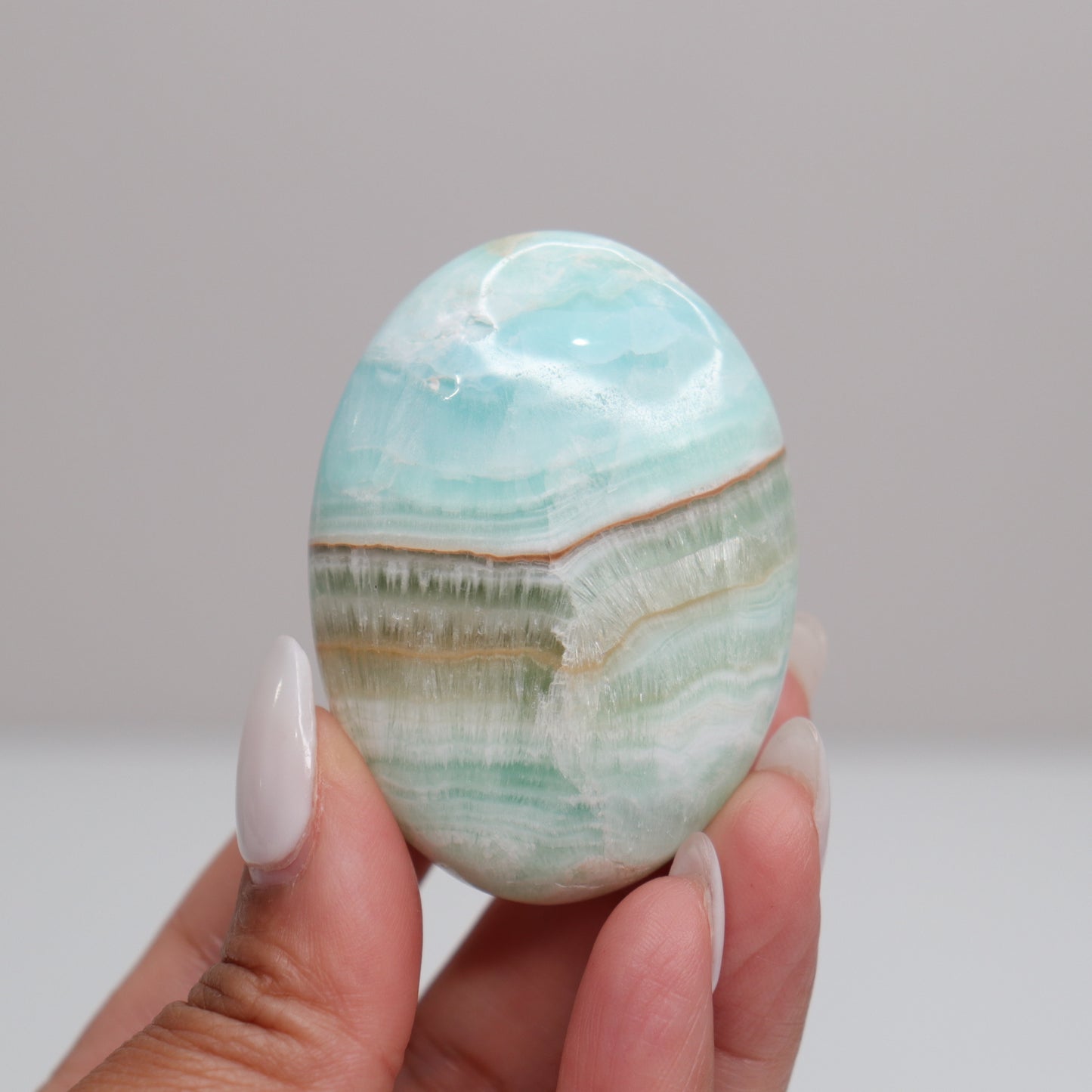 Caribbean Calcite Palm Stone | A