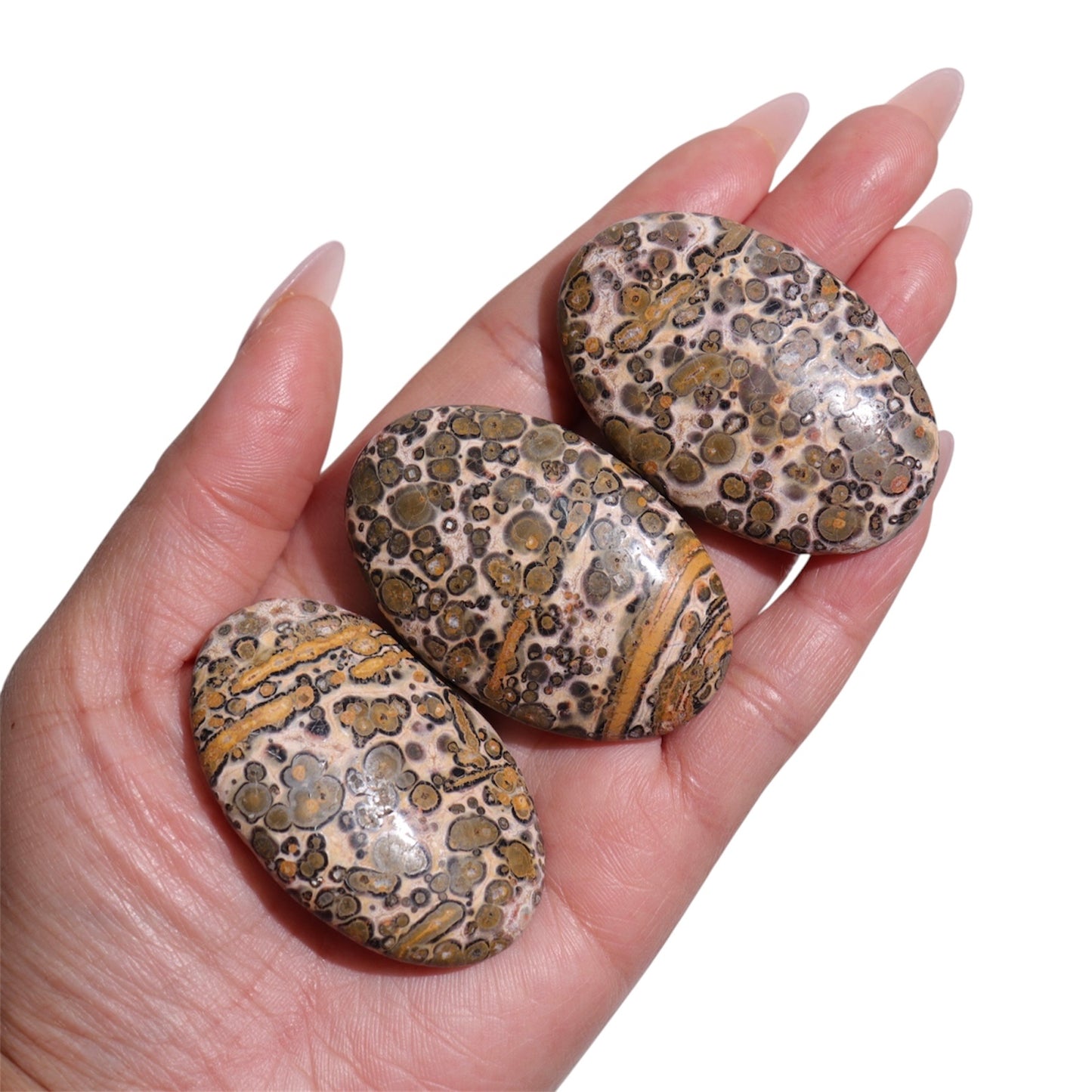 Leopardskin Jasper Palm Stones | Yellow
