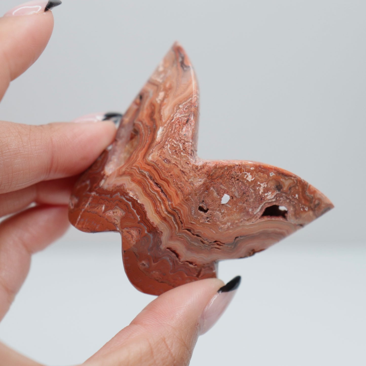 3D Pink Lace Agate Butterfly | M