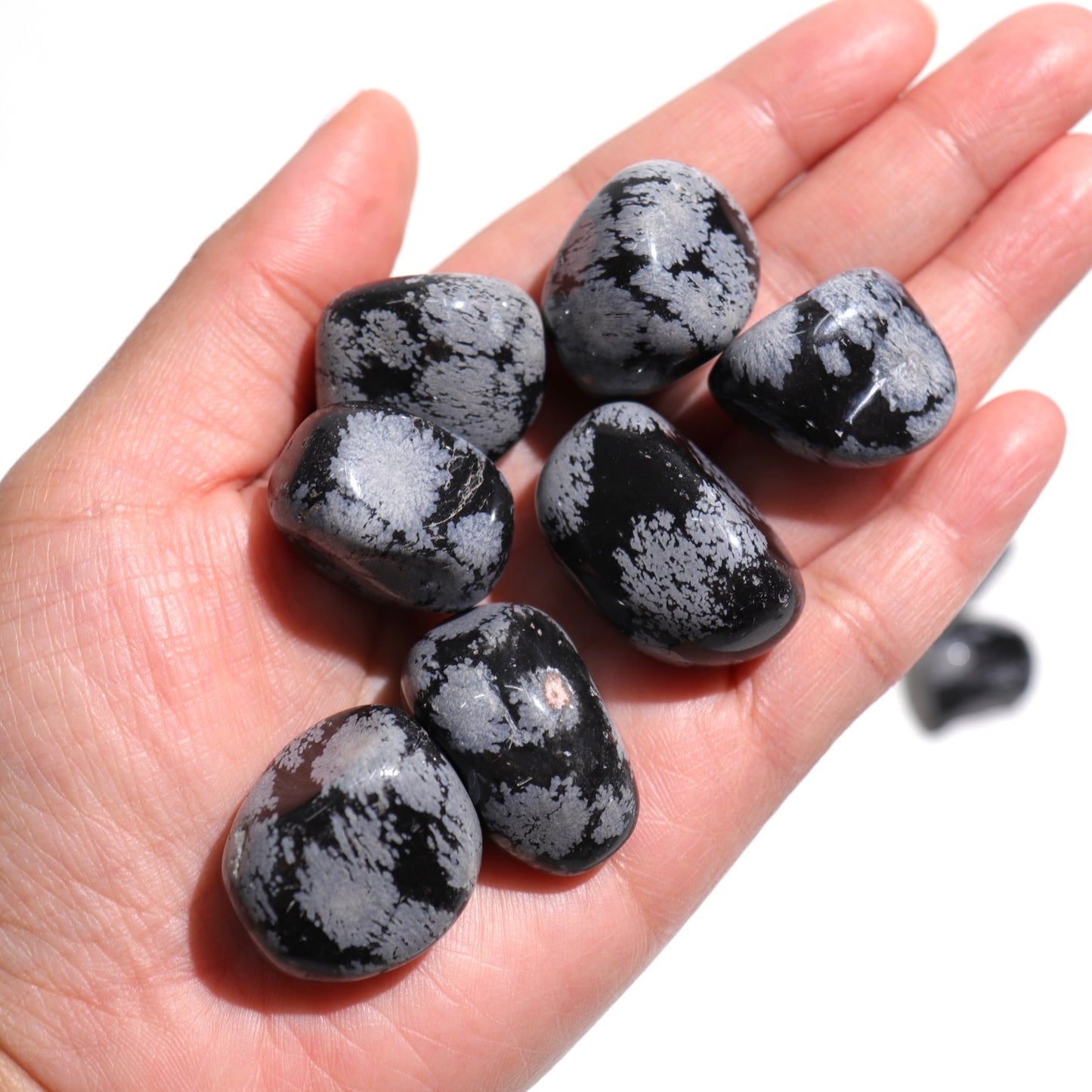 Snowflake Obsidian Tumbles