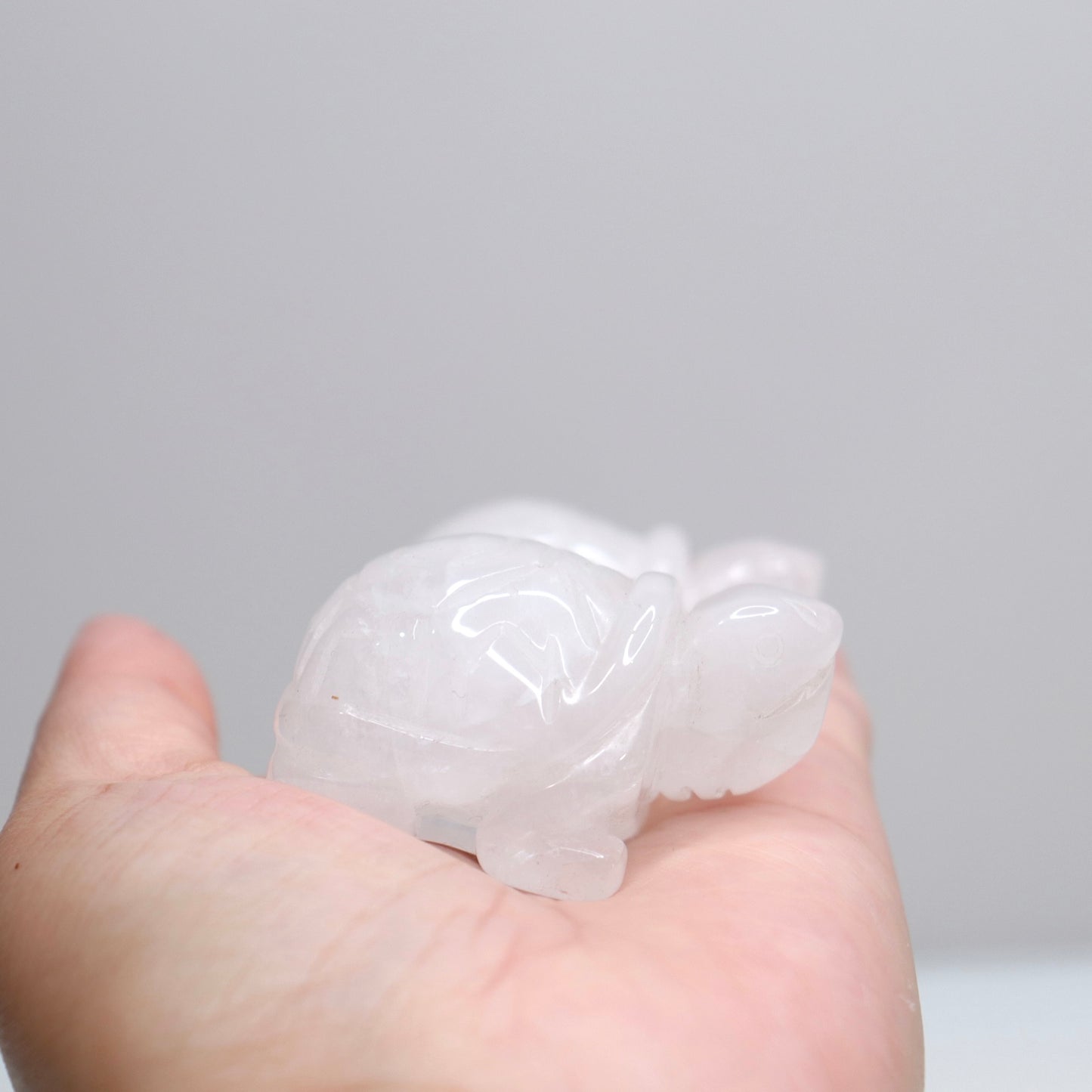 Clear Quartz Turtles | 2”