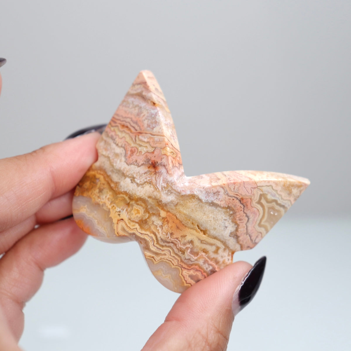 Crazy Lace Agate Butterfly | 1