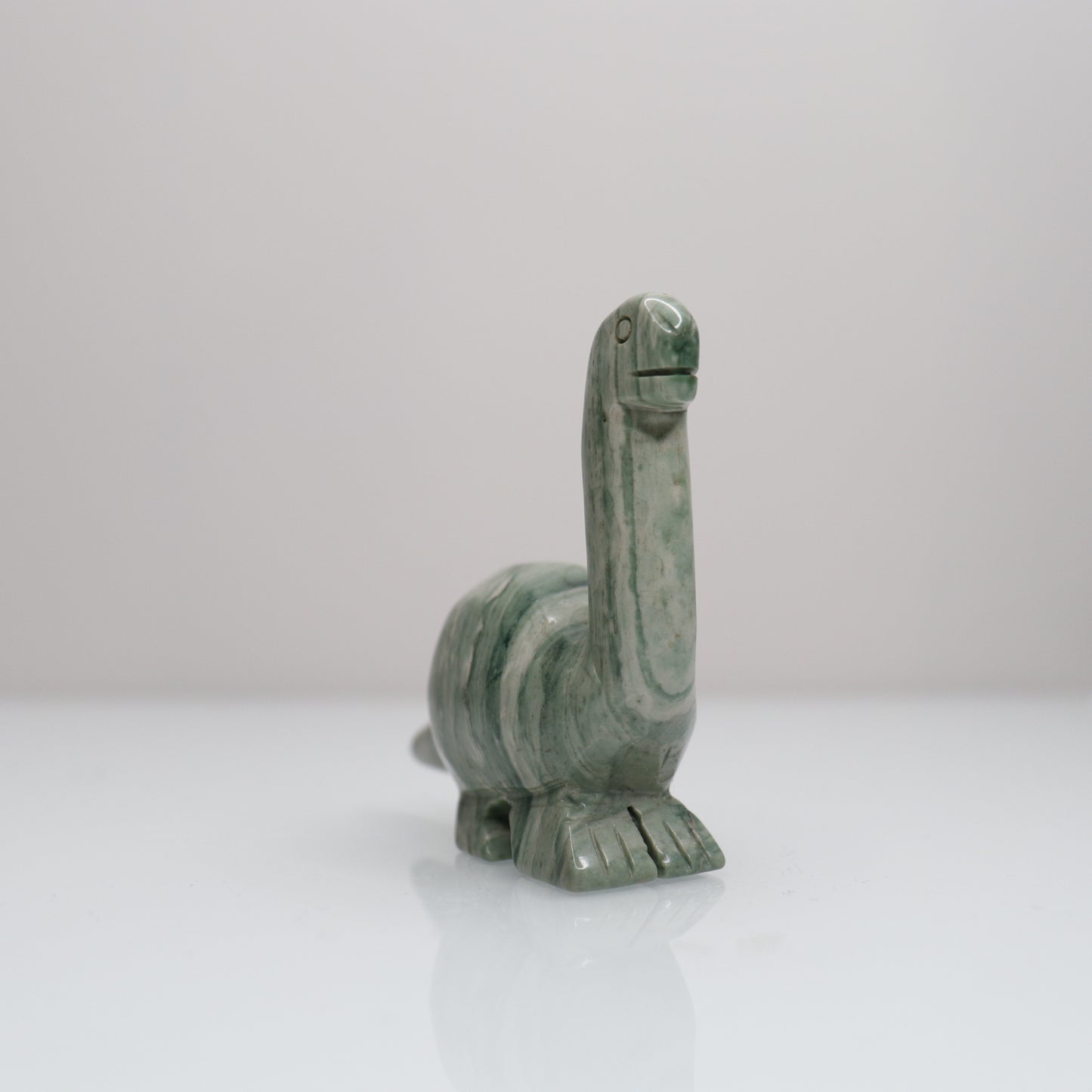 Polychrome Dinosaur | 4