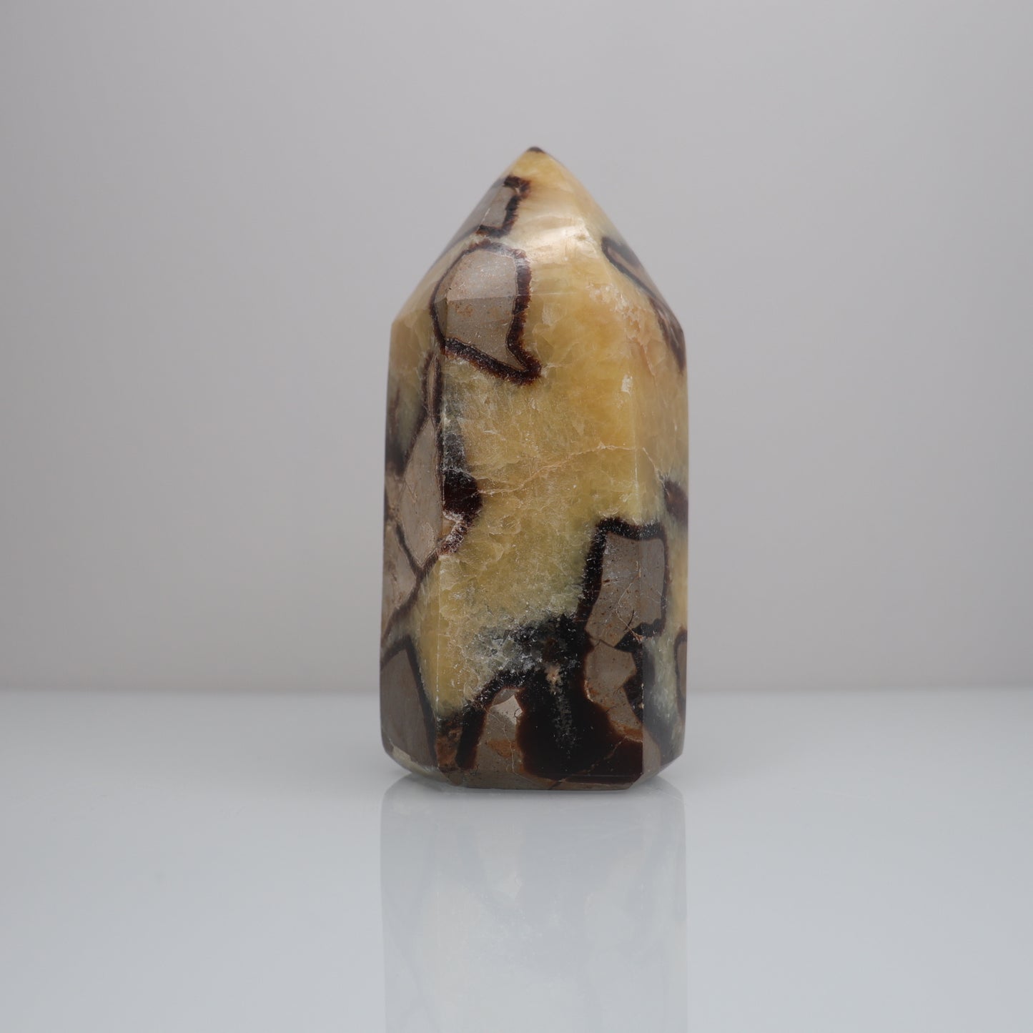 Septarian Tower | 1