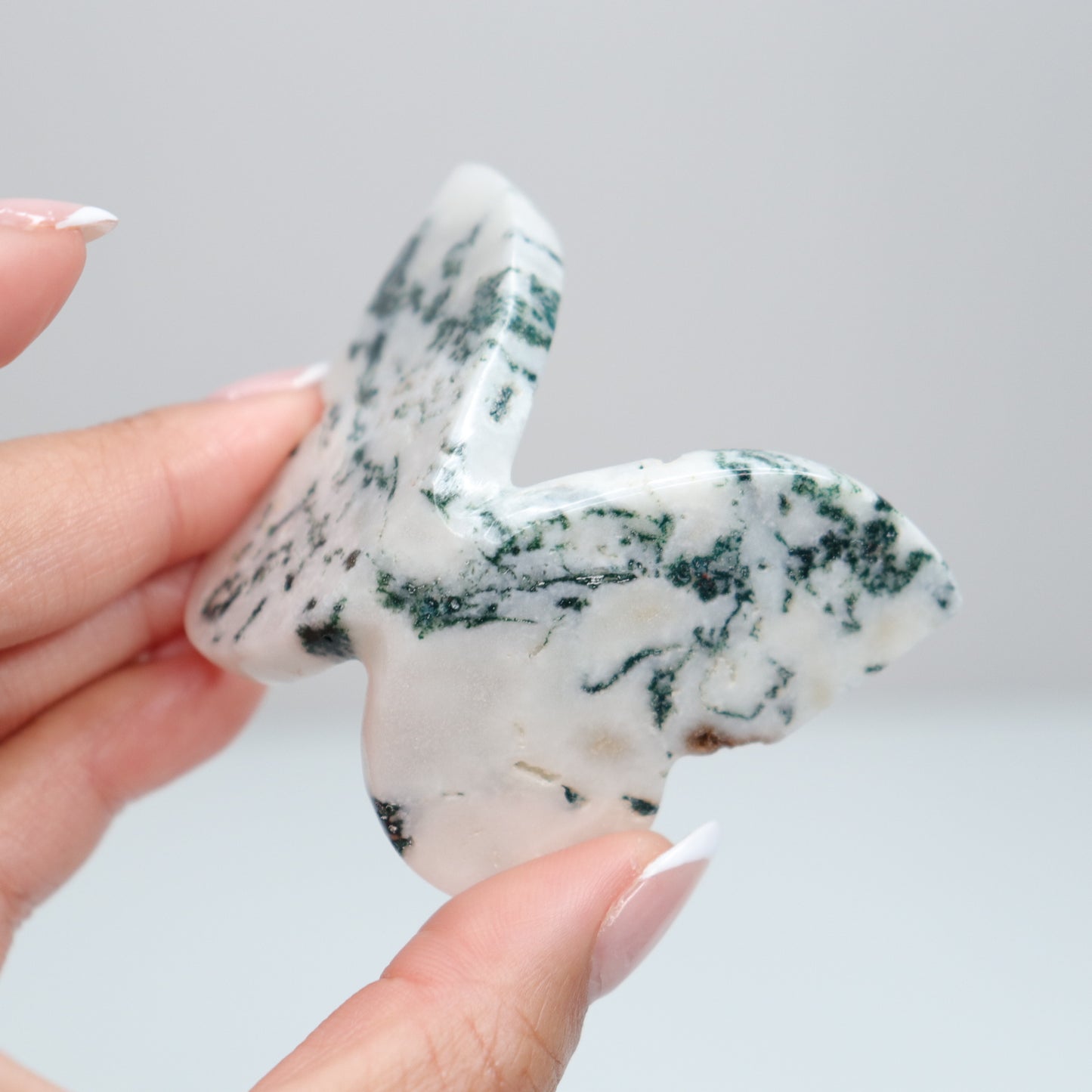 Tree Agate Butterfly B