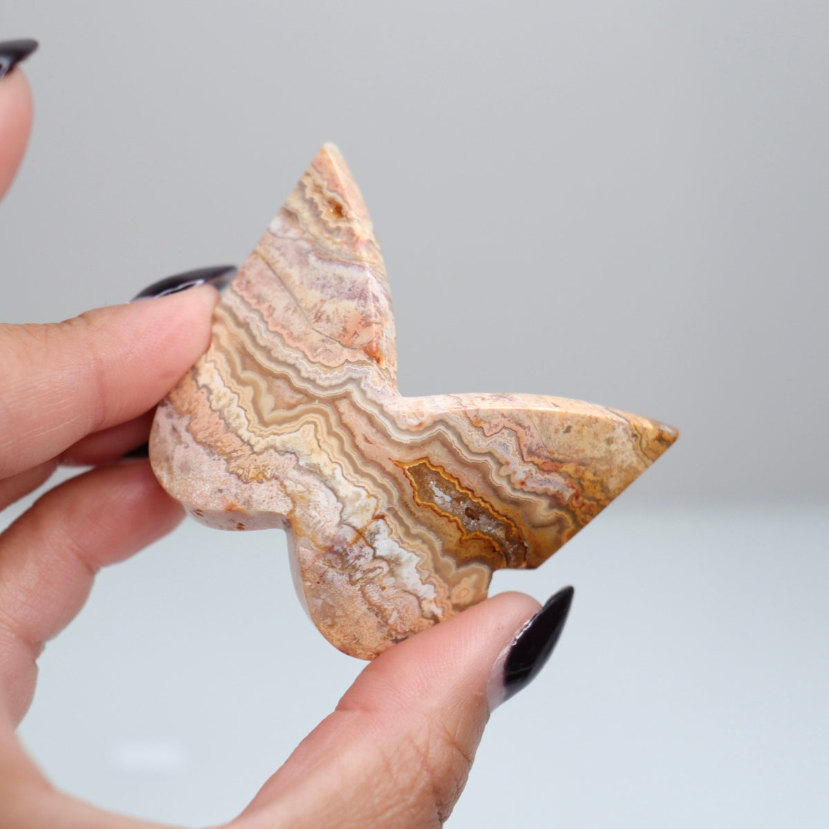 Crazy Lace Agate Butterfly | 4