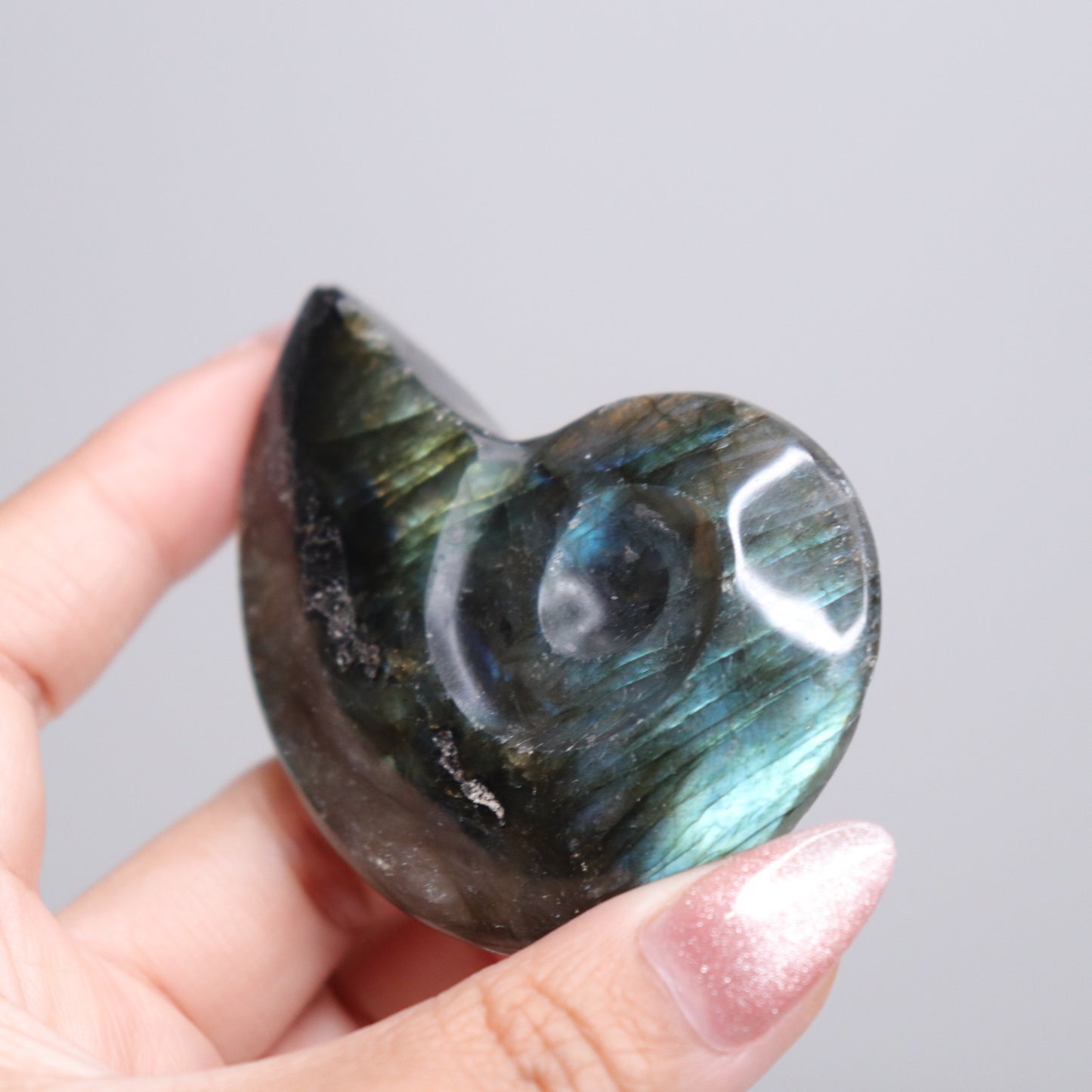 Labradorite Ammonite | 5*