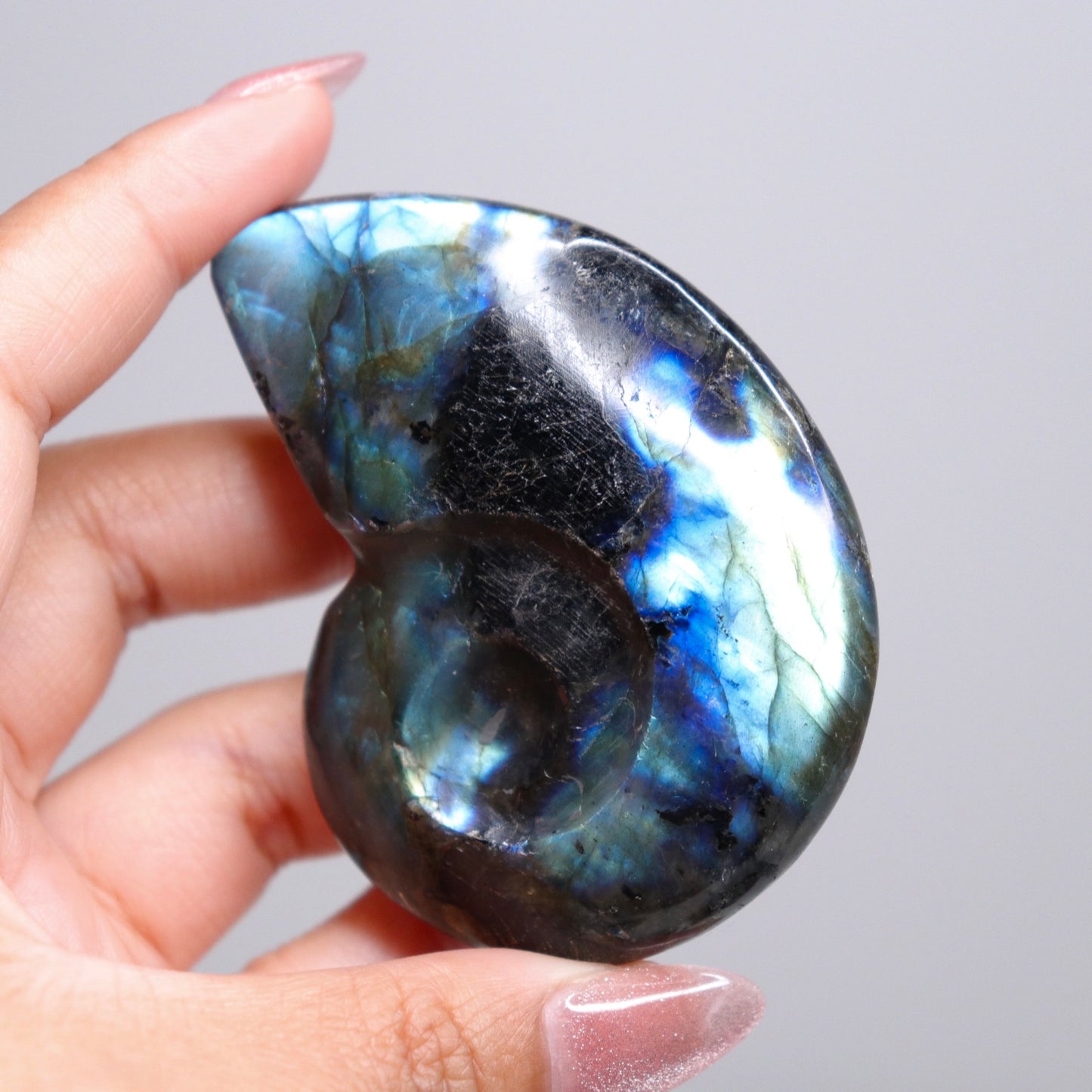 Labradorite Ammonite | 6