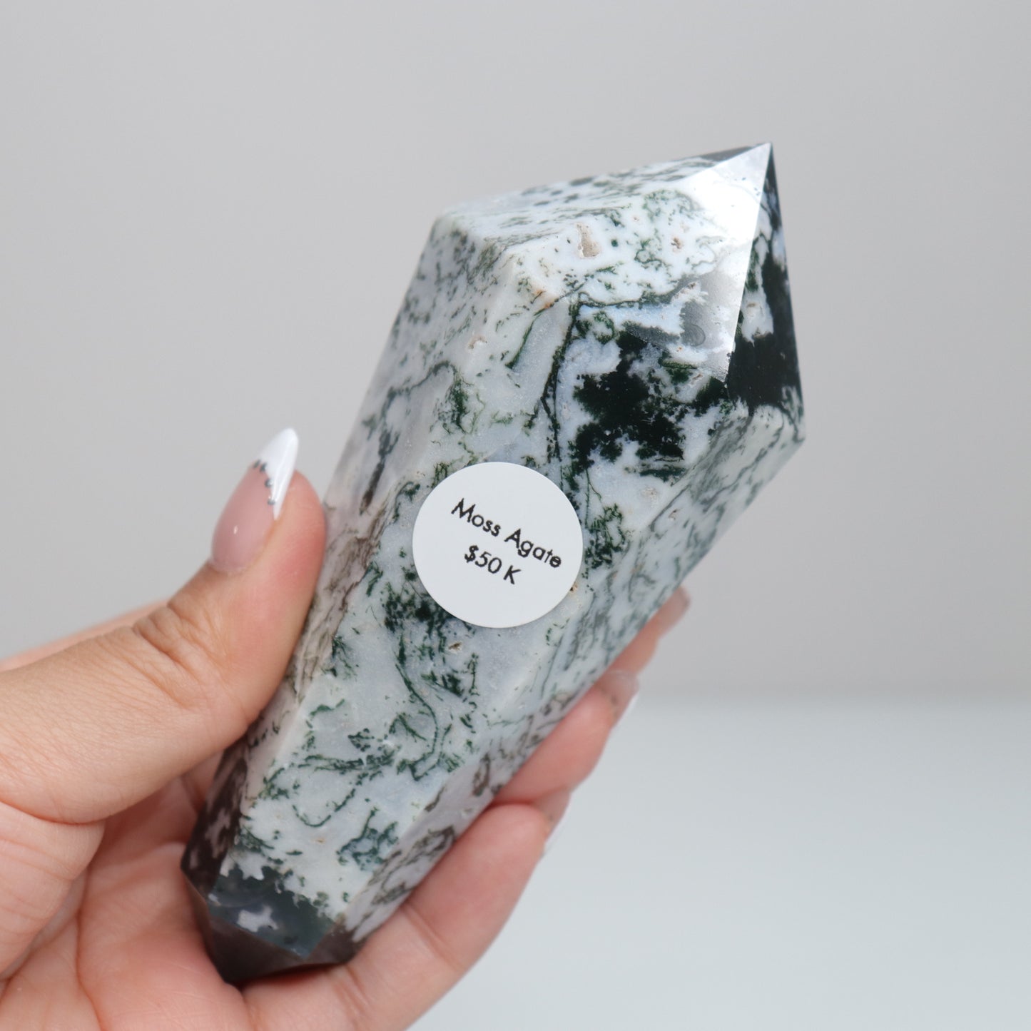 Tree Agate DT. | Large