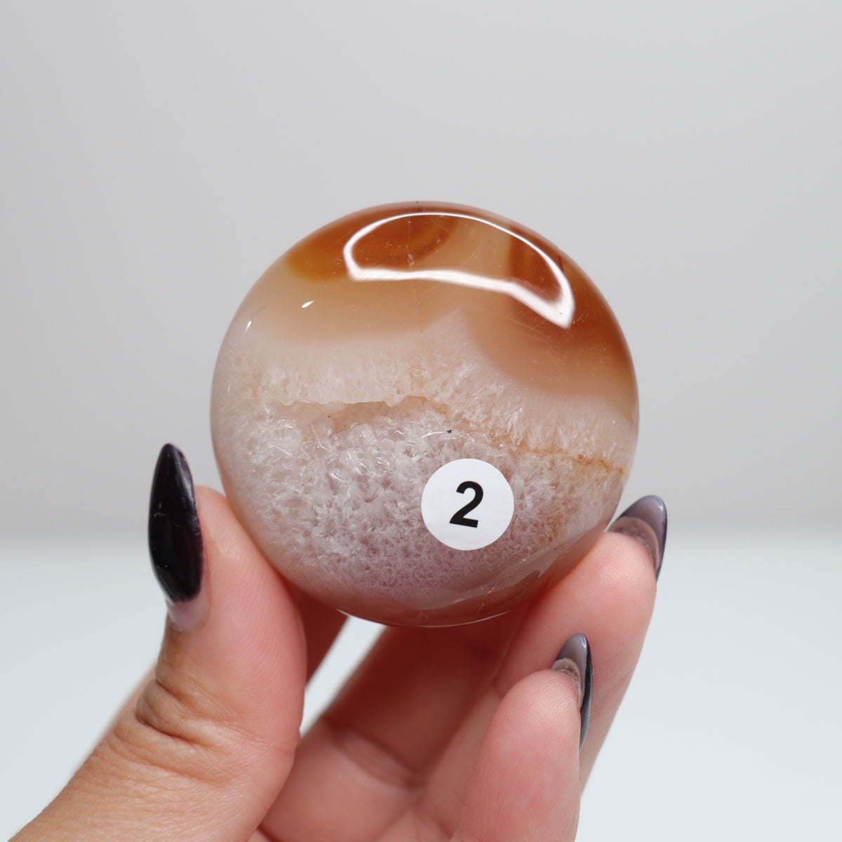 Flower Agate Round Palm | 2
