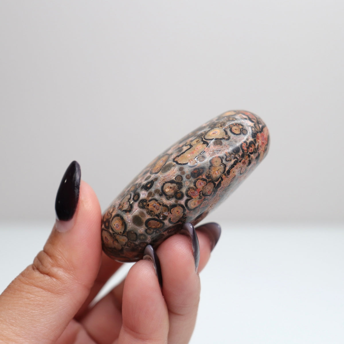 Leopard Skin Jasper Palm Stone | 23