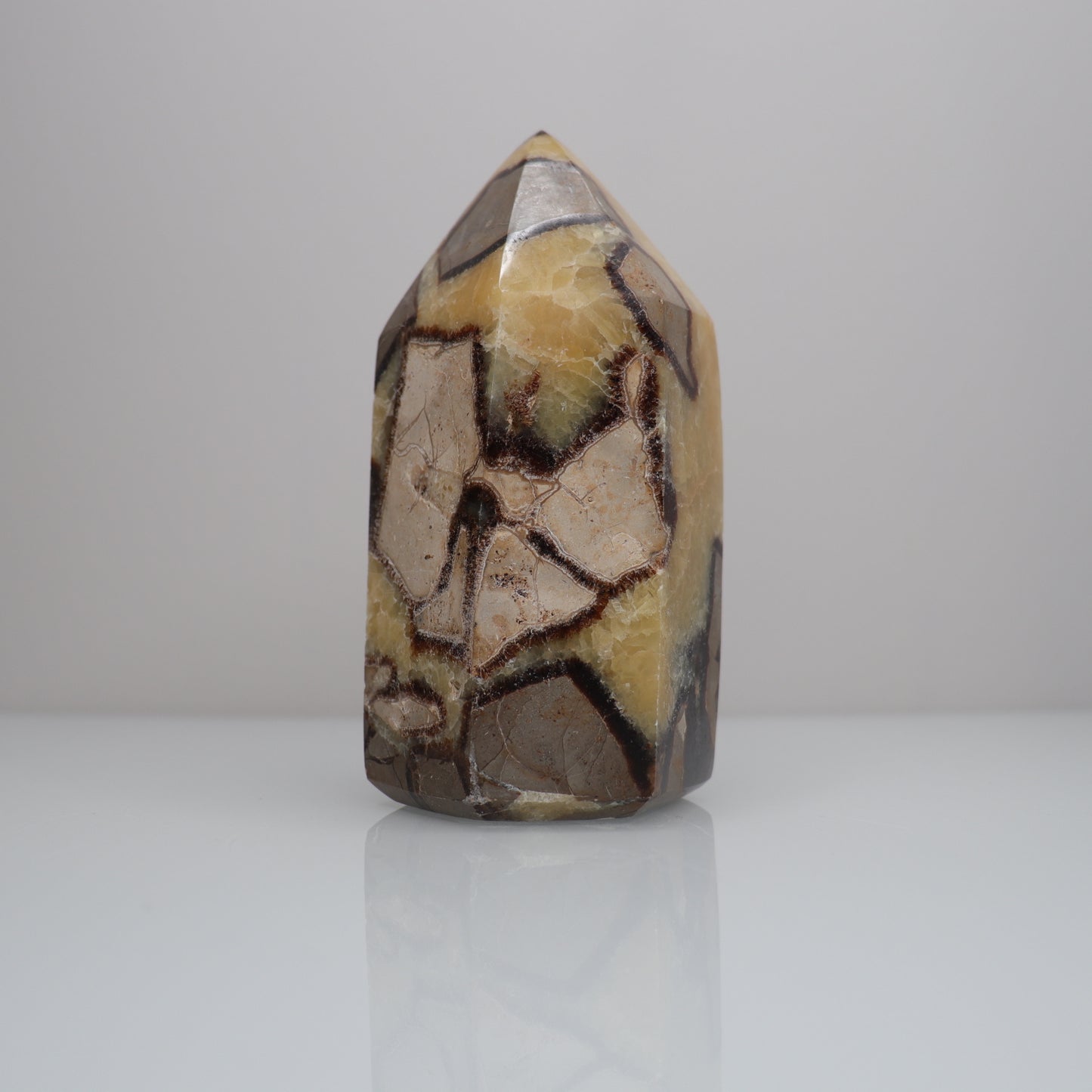 Septarian Tower | 1