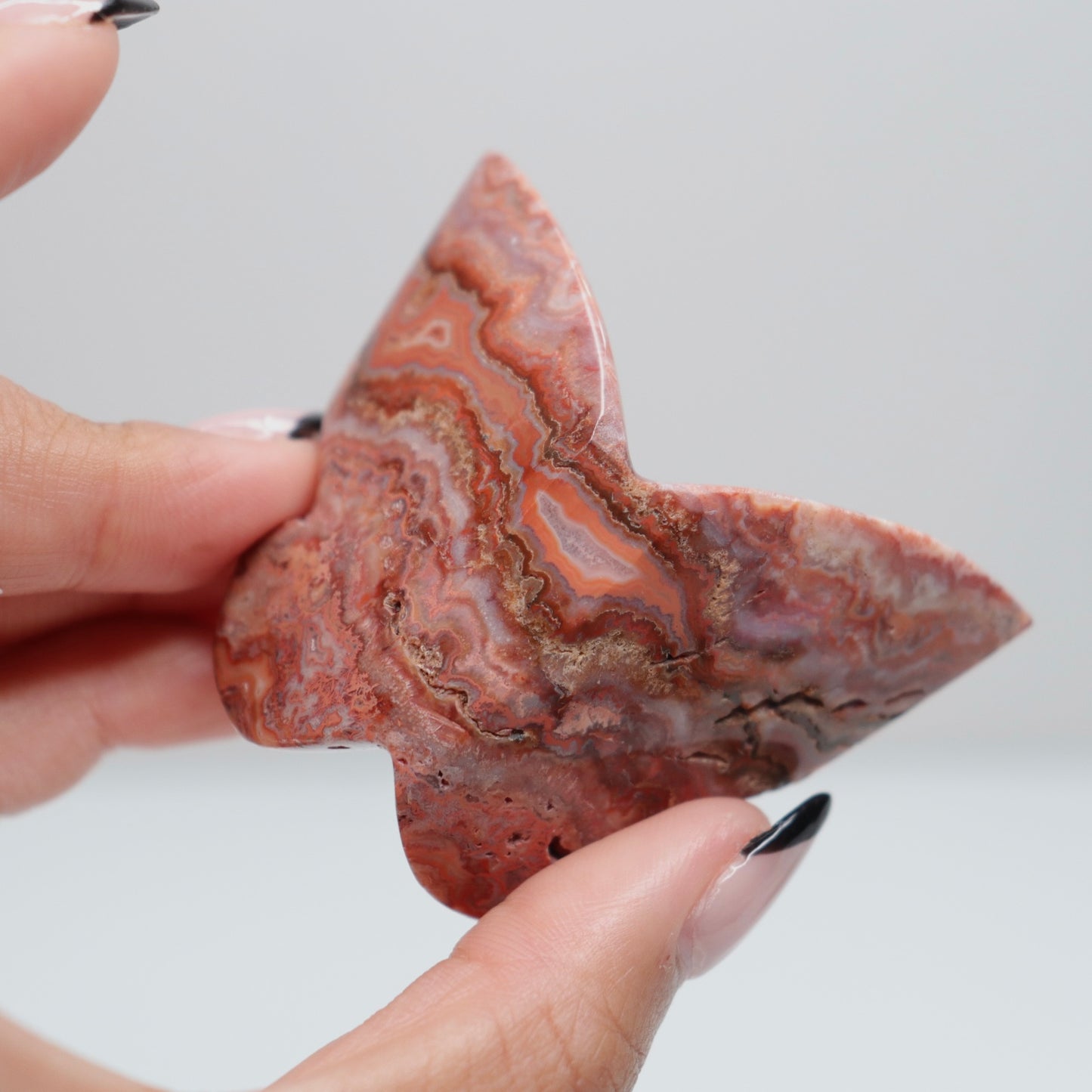 3D Pink Lace Agate Butterfly | N