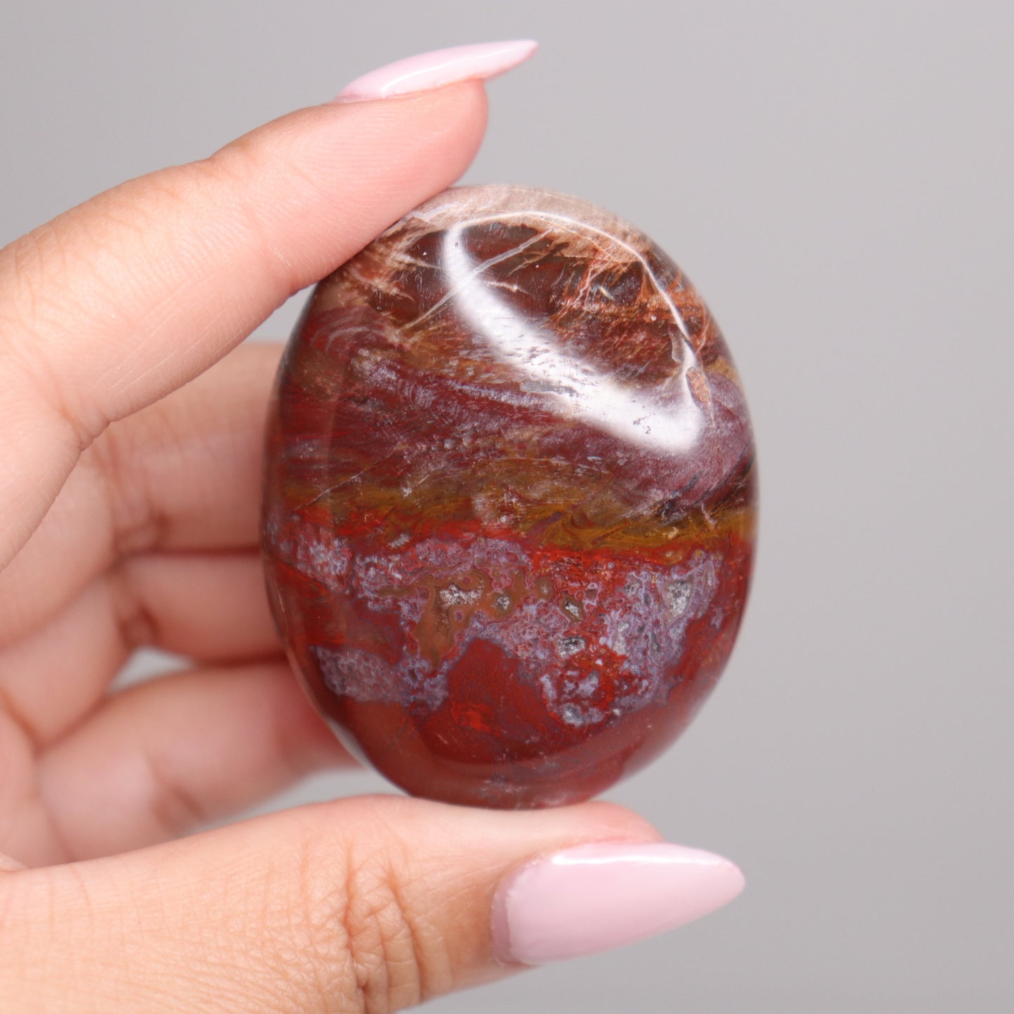 Petrified Wood Palm Stone | 4