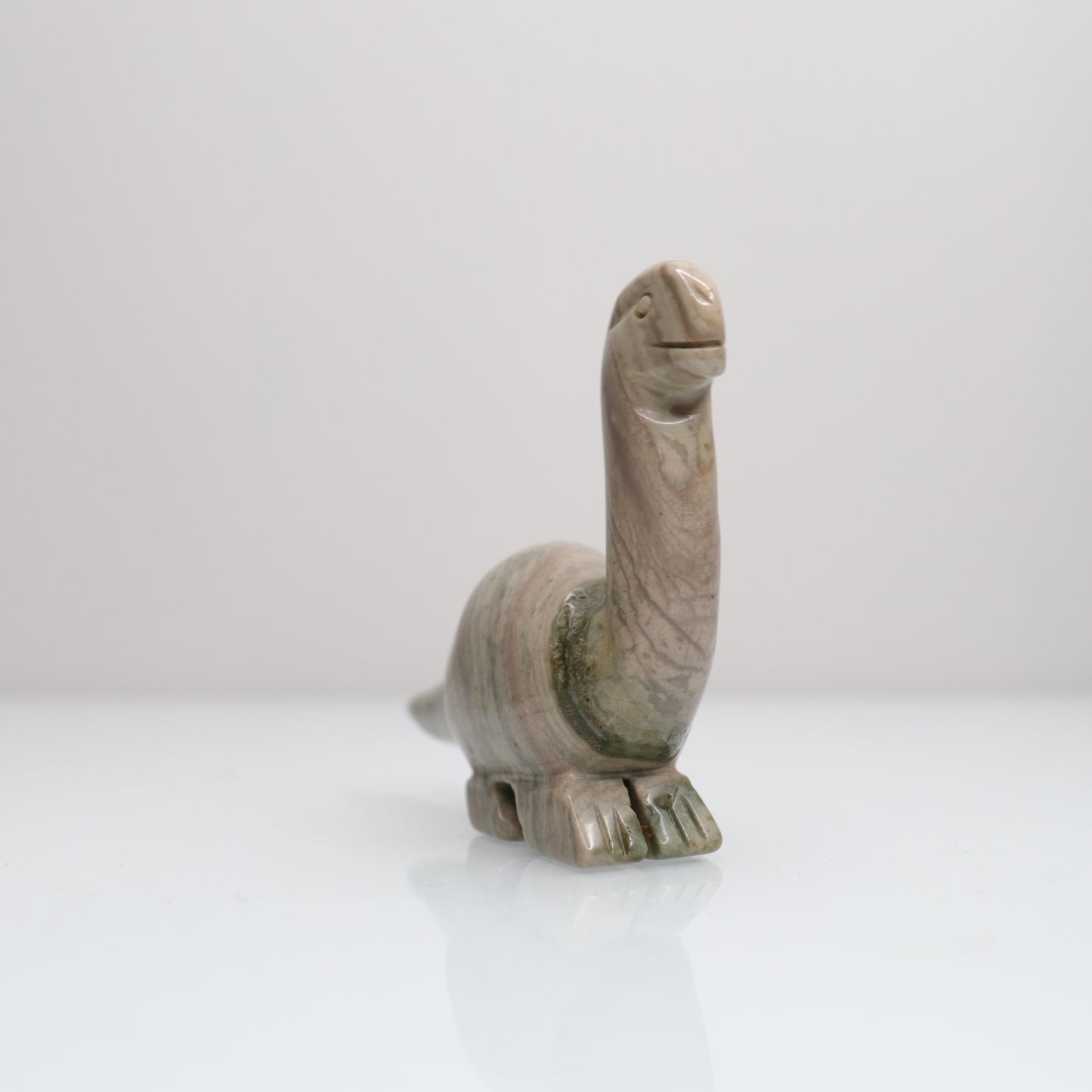 Polychrome Dinosaur | 1