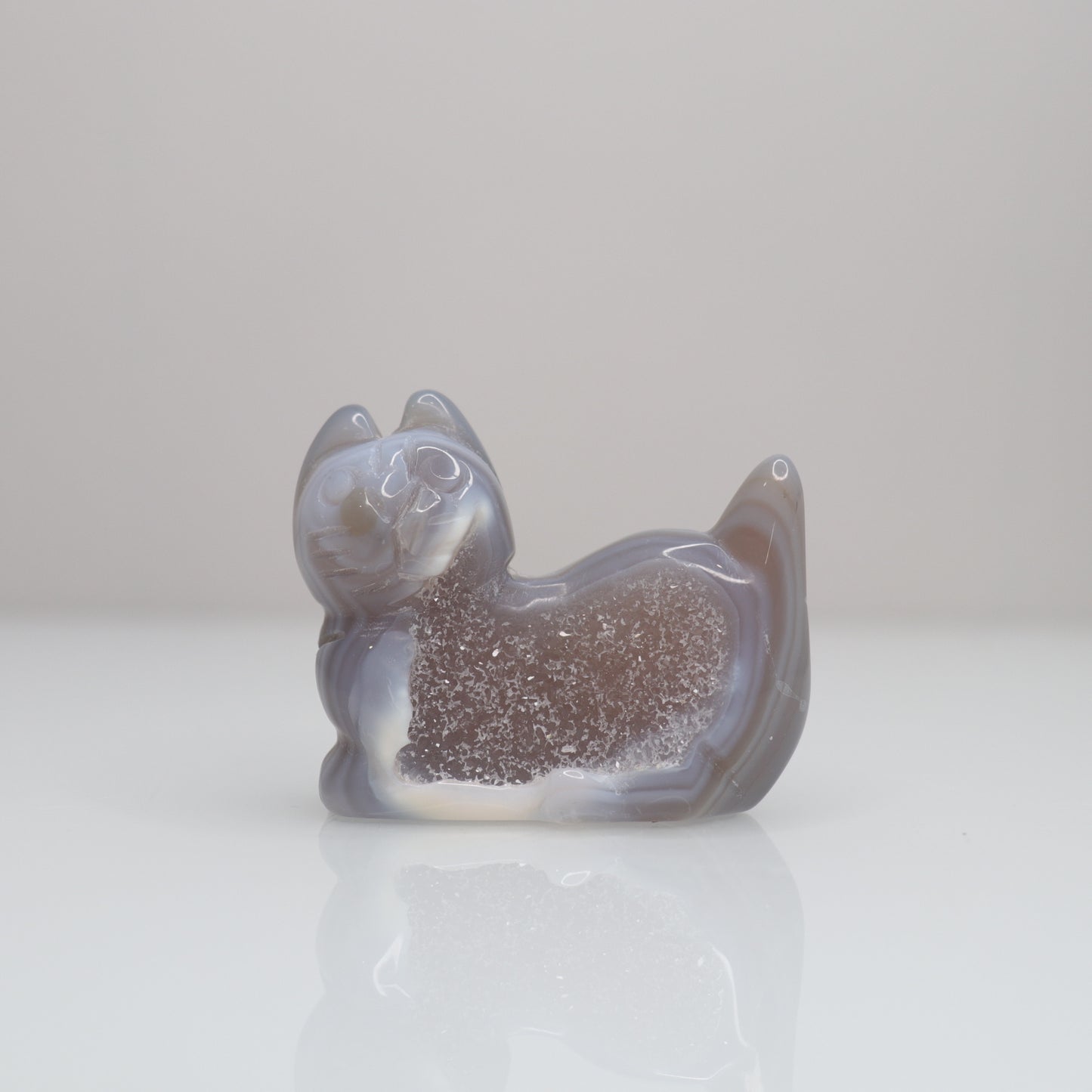 Druzy Agate Cat | I