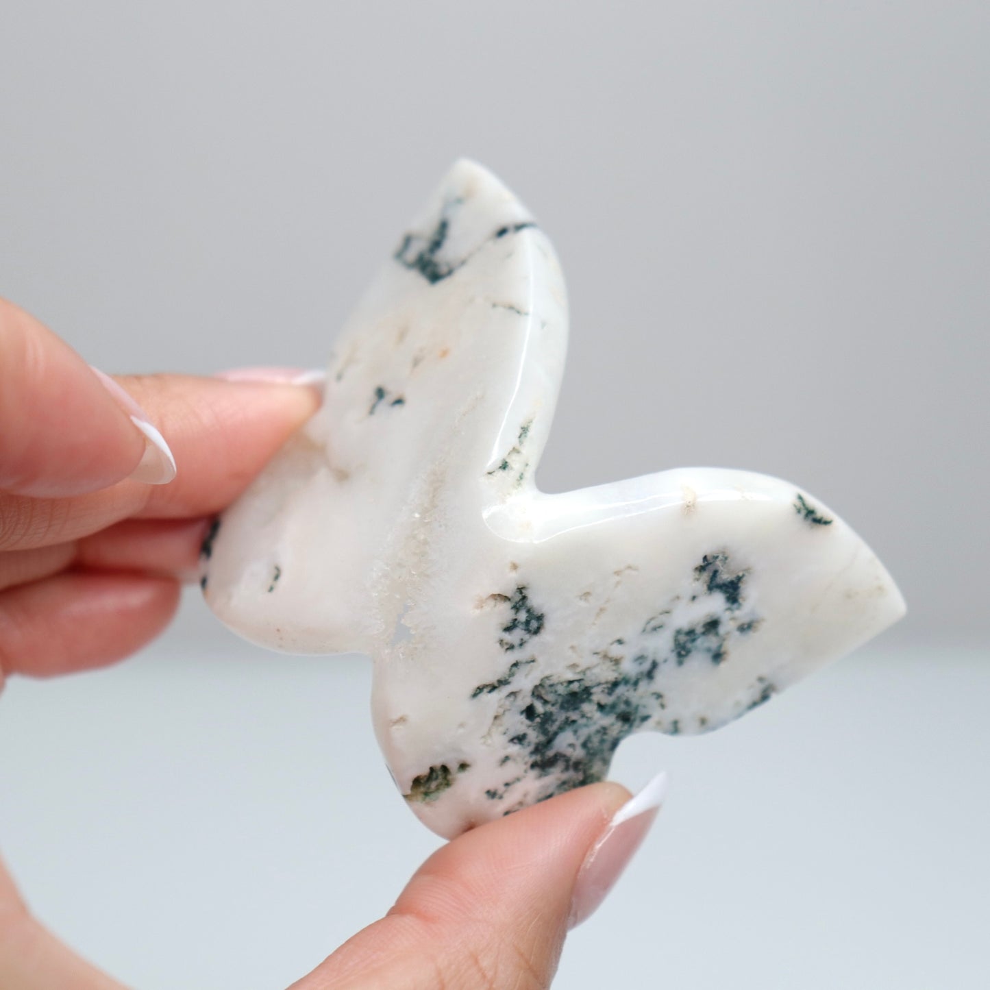 Tree Agate Butterfly C