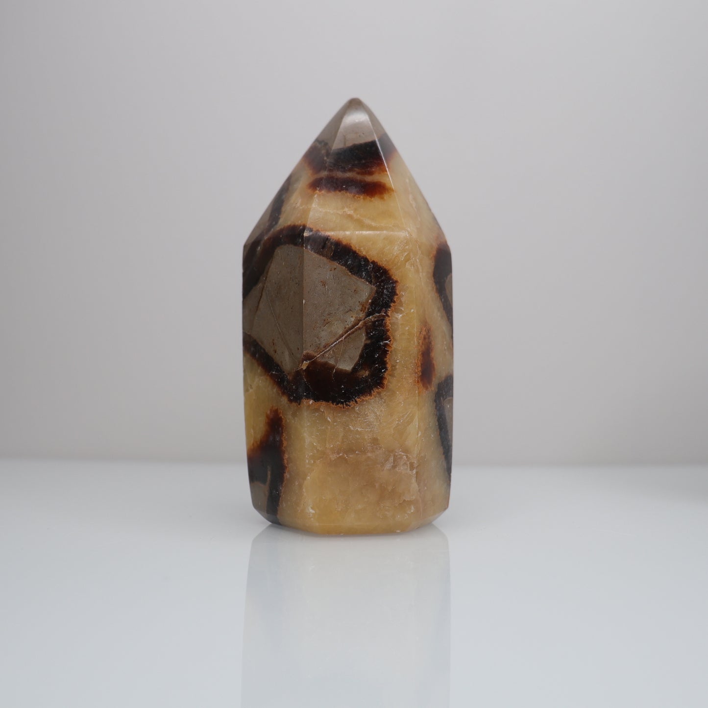 Septarian Tower | 2