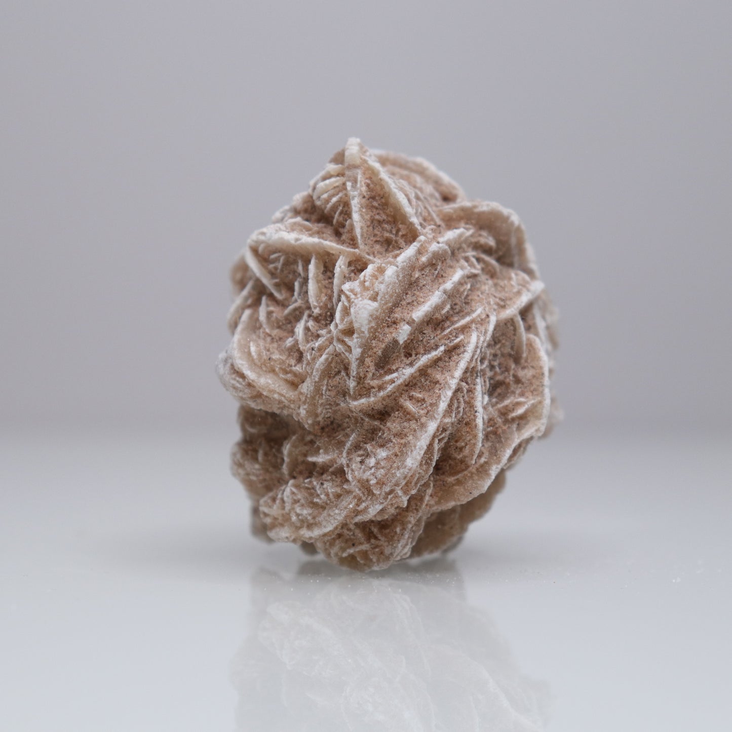 Desert Rose Cluster | 2