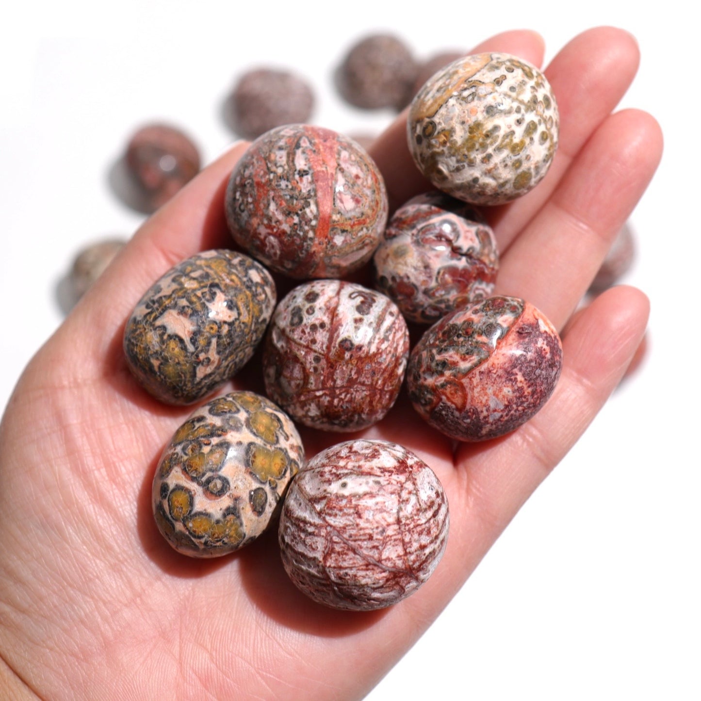 Leopardskin Jasper Tumbles