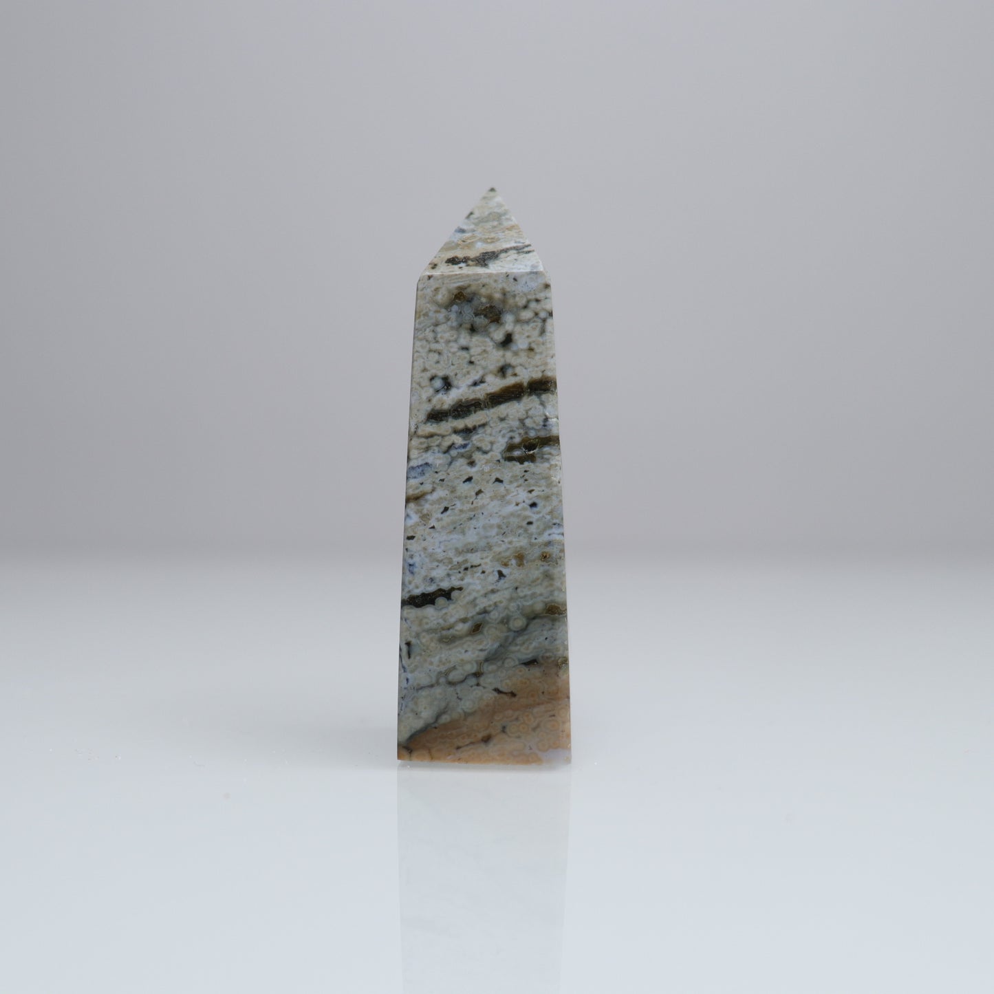 Ocean Jasper Tower | 2