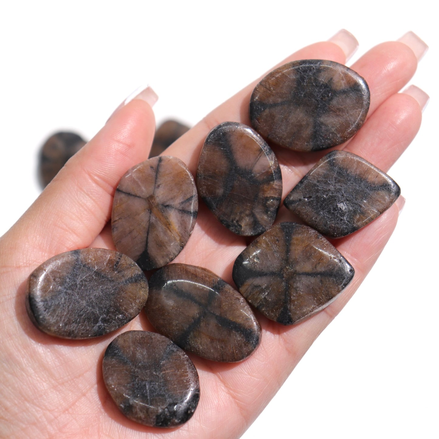 Chiastiolite Flat Stones