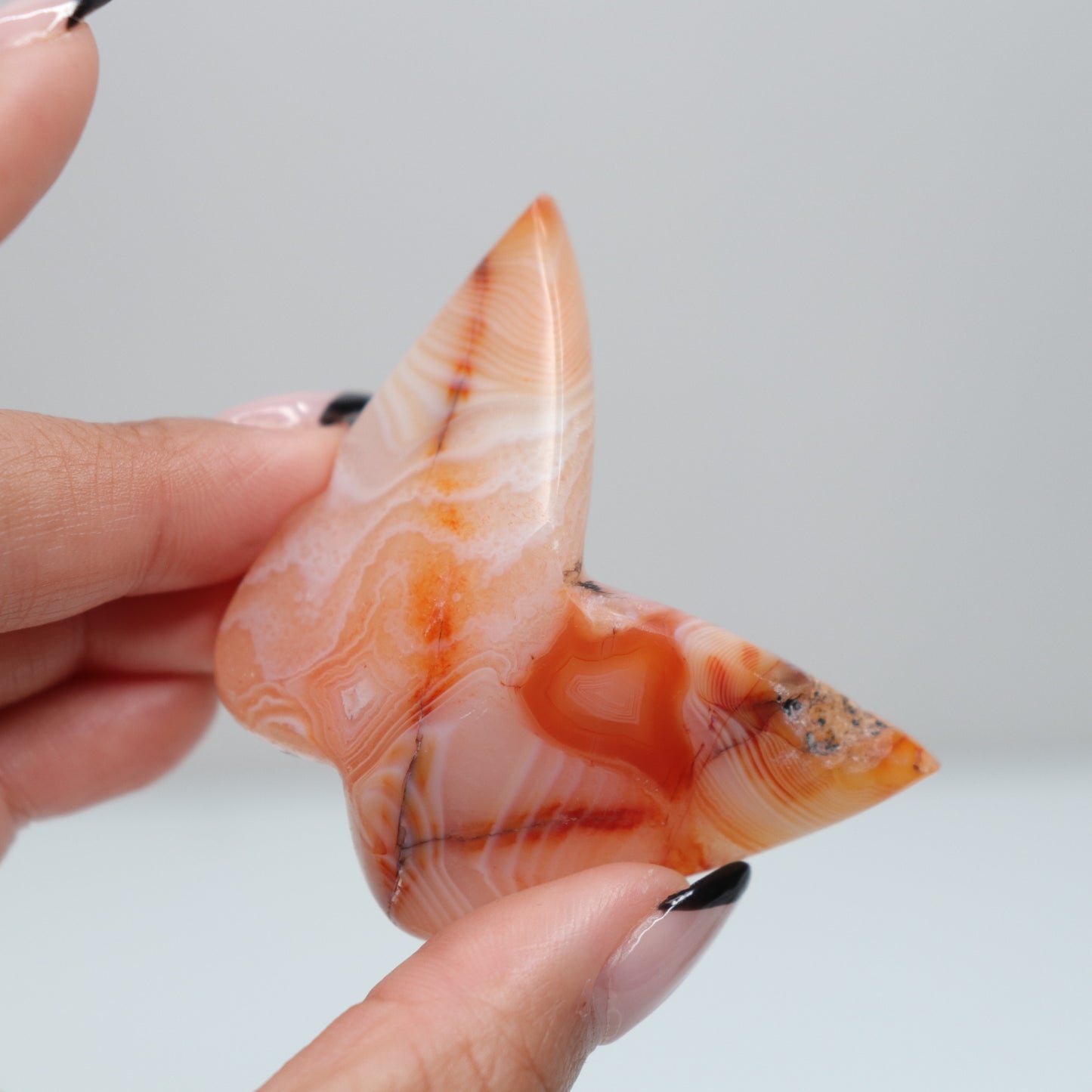 3D Carnelian Butterfly | B
