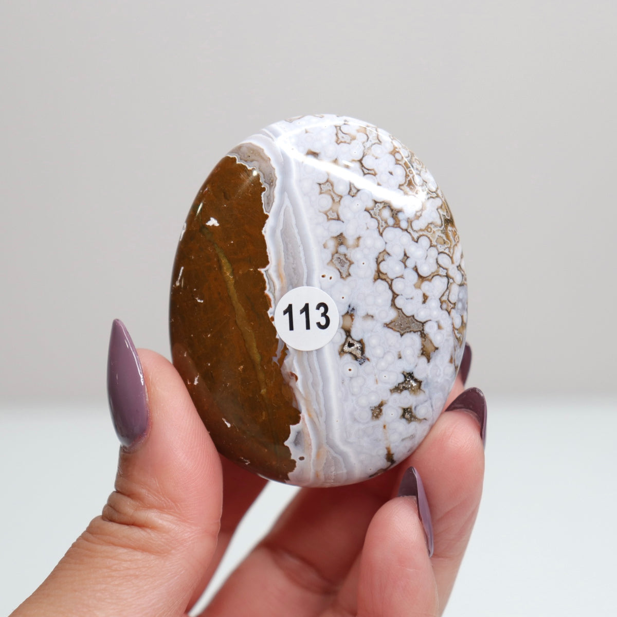 Ocean Jasper Palm Stone 113