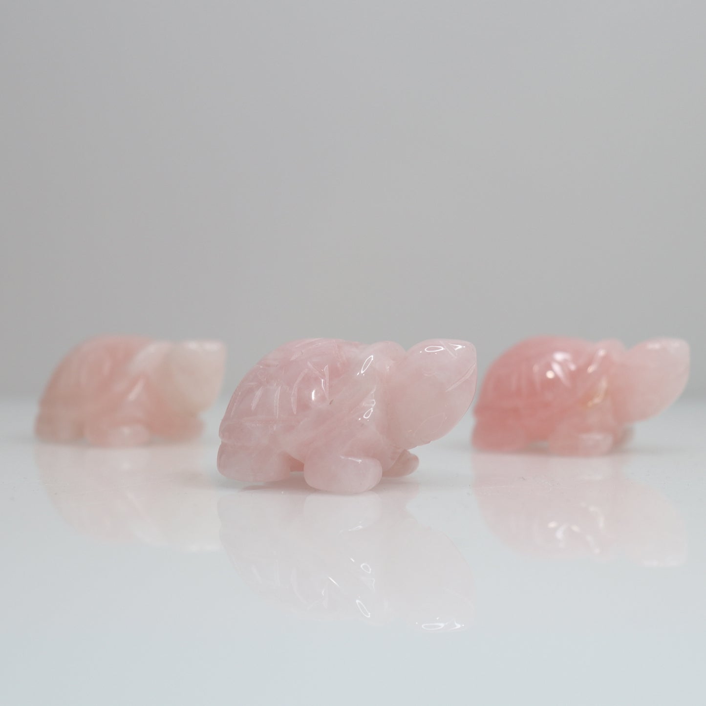 Rose Quartz Turtle | 2"