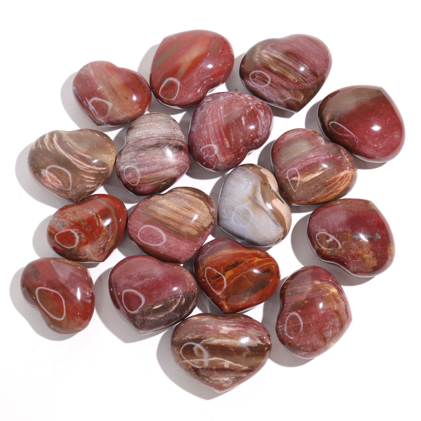 Petrified Wood Hearts