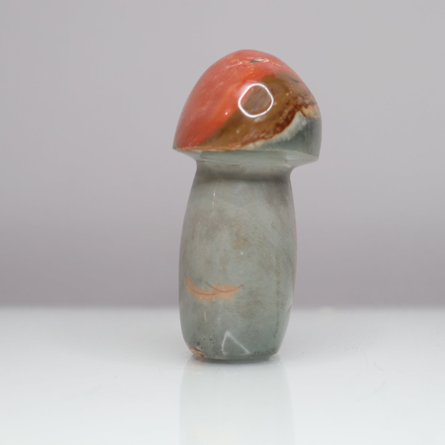 Polychrome Mushroom | 4