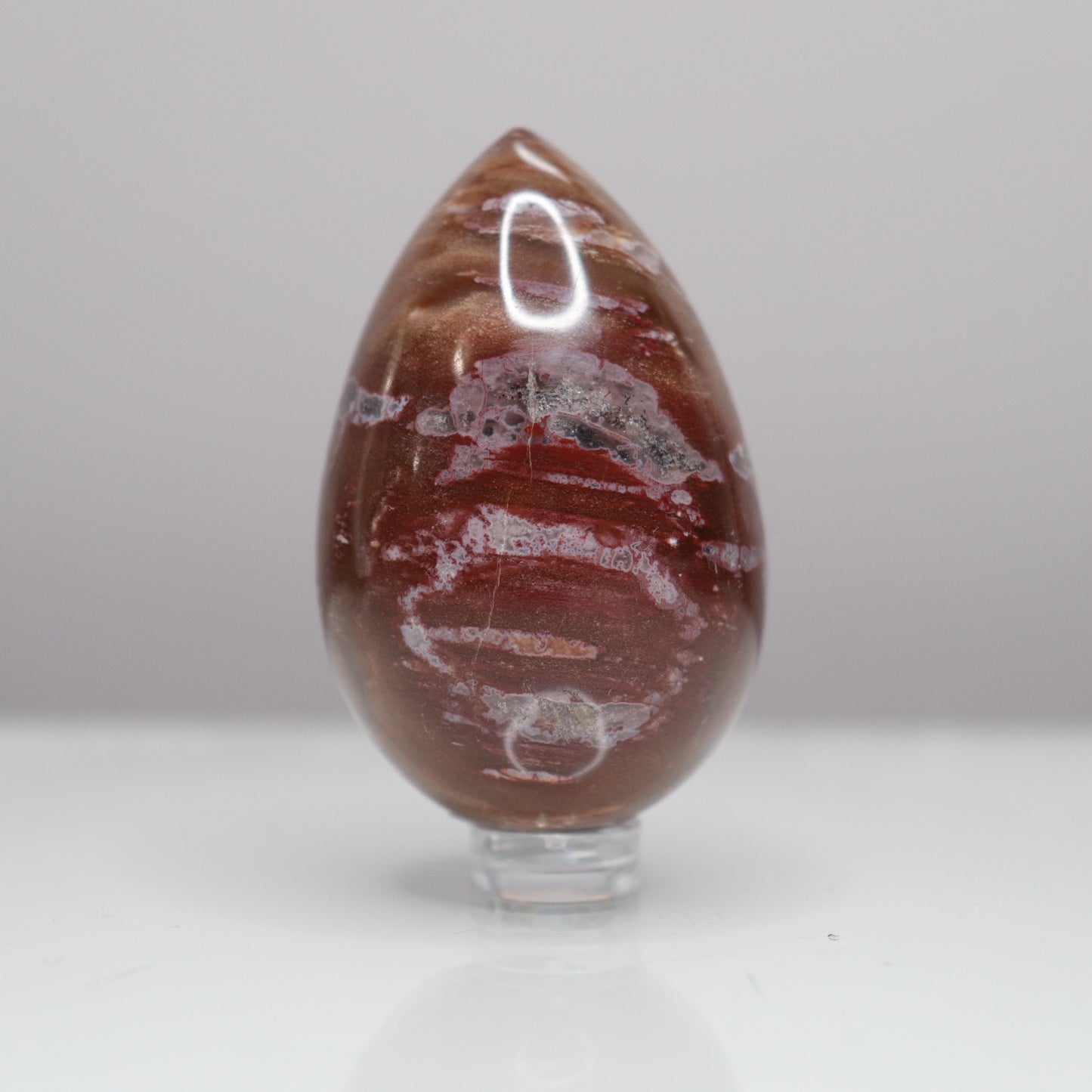 Petrified Wood Egg - Crescents & Crystals