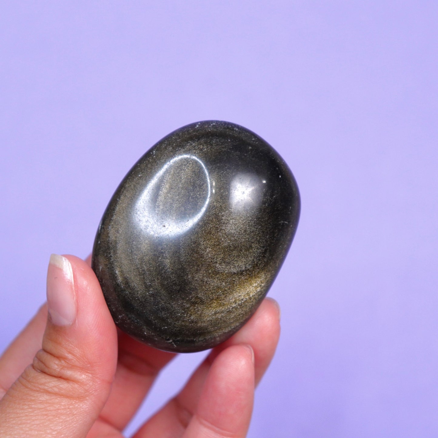 Golden Sheen Obsidian Palm Stone - Crescents & Crystals