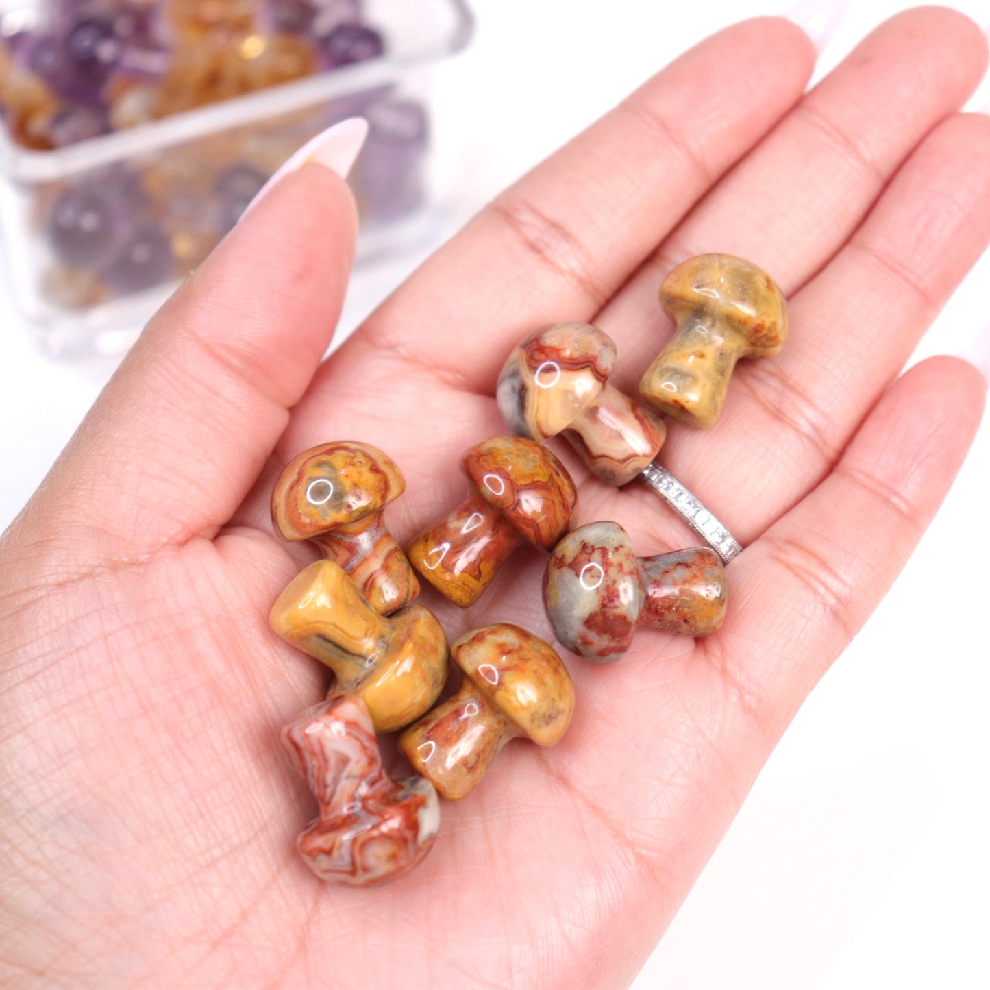 Mini Mushrooms