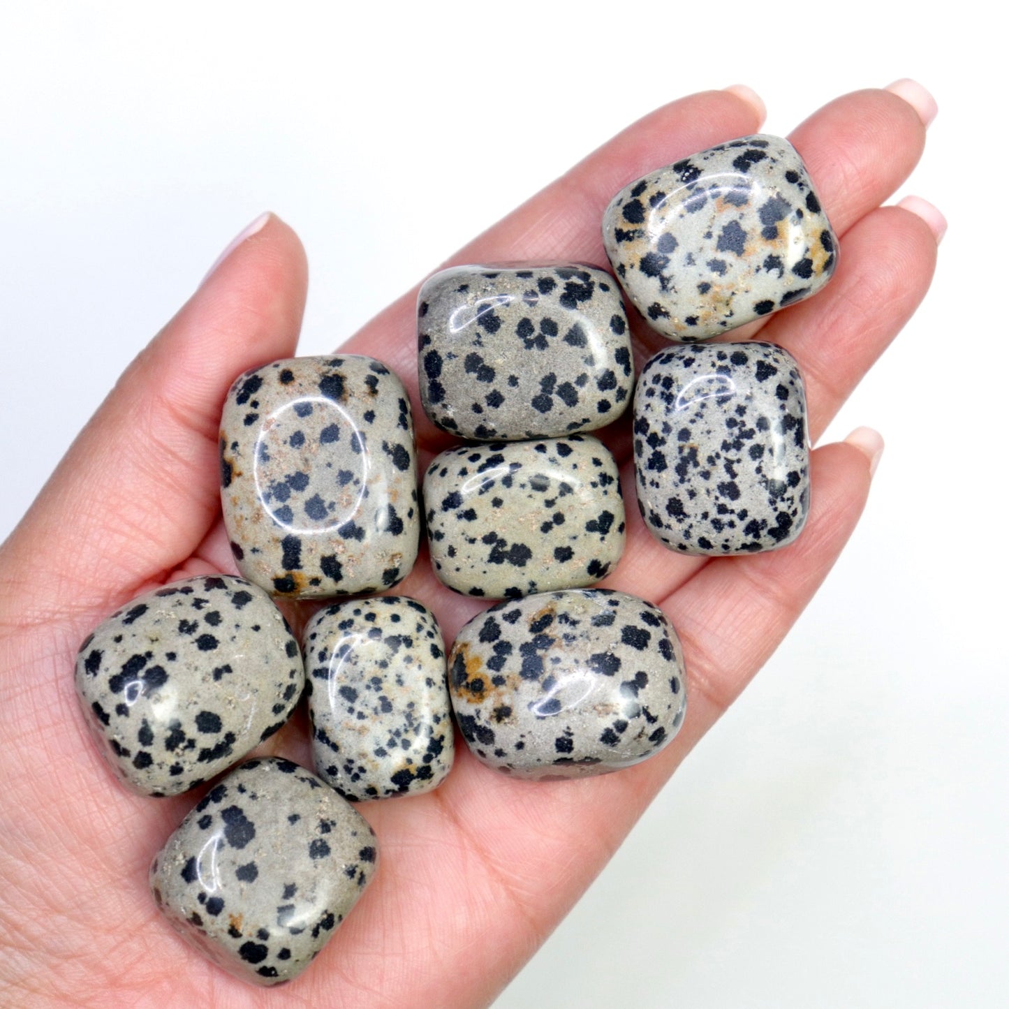 Dalmation Jasper Tumbles- Crescents & Crystals
