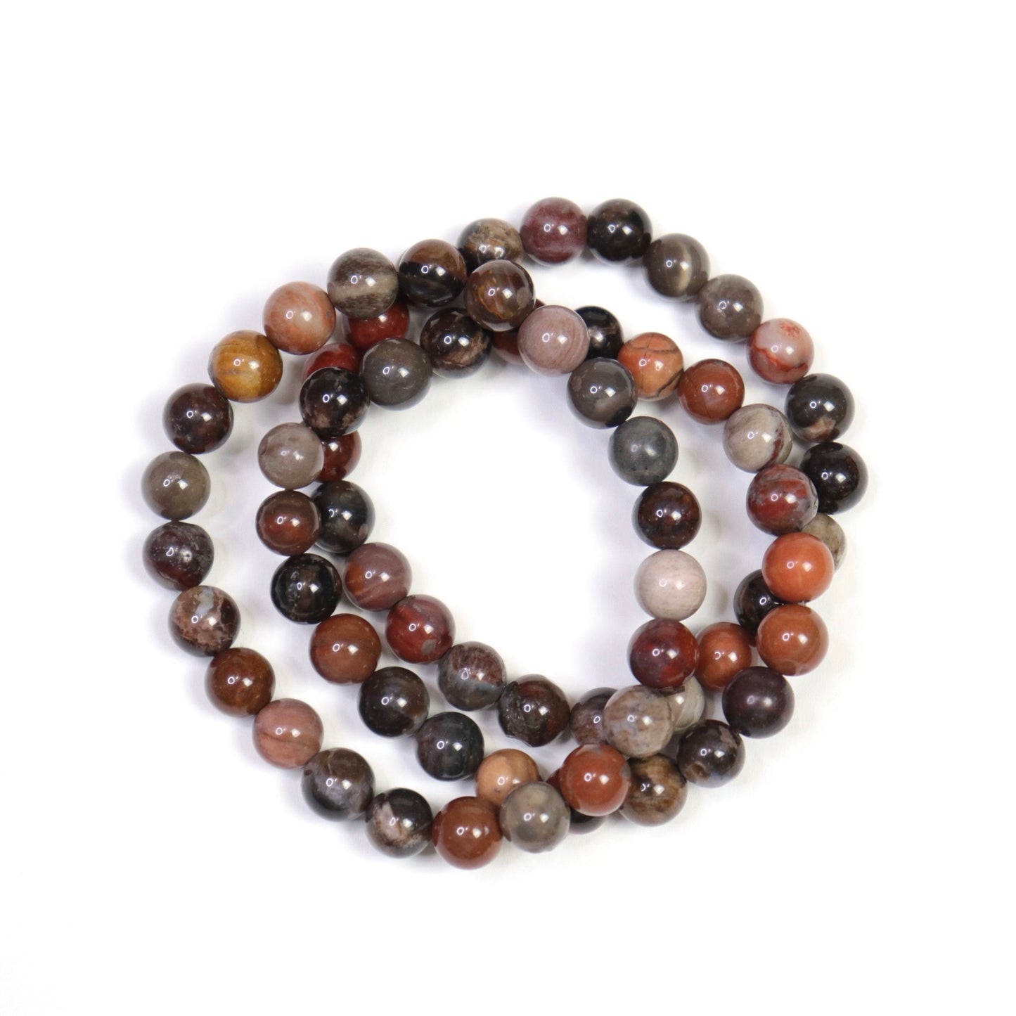 Petrified Wood Bracelet - Crescents & Crystals