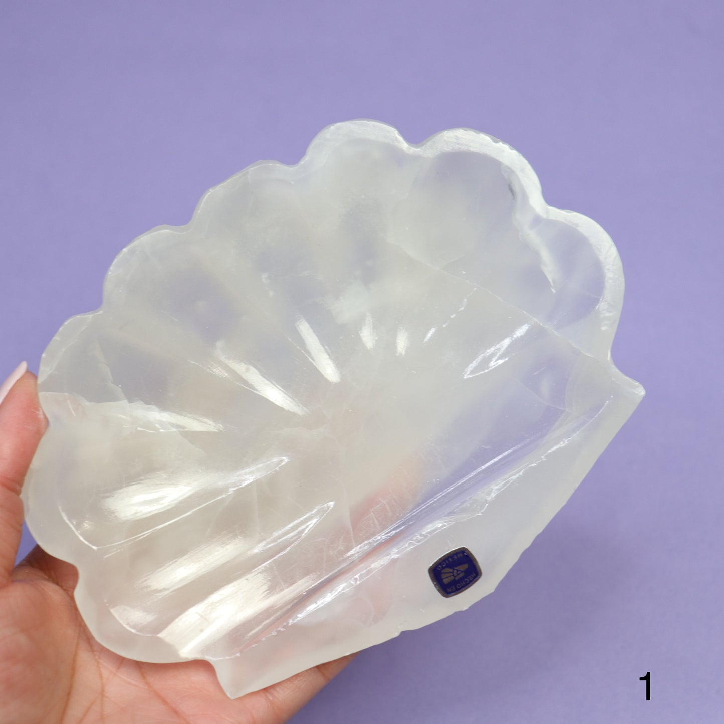 Onyx Seashell Bowl - Crescents & Crystals