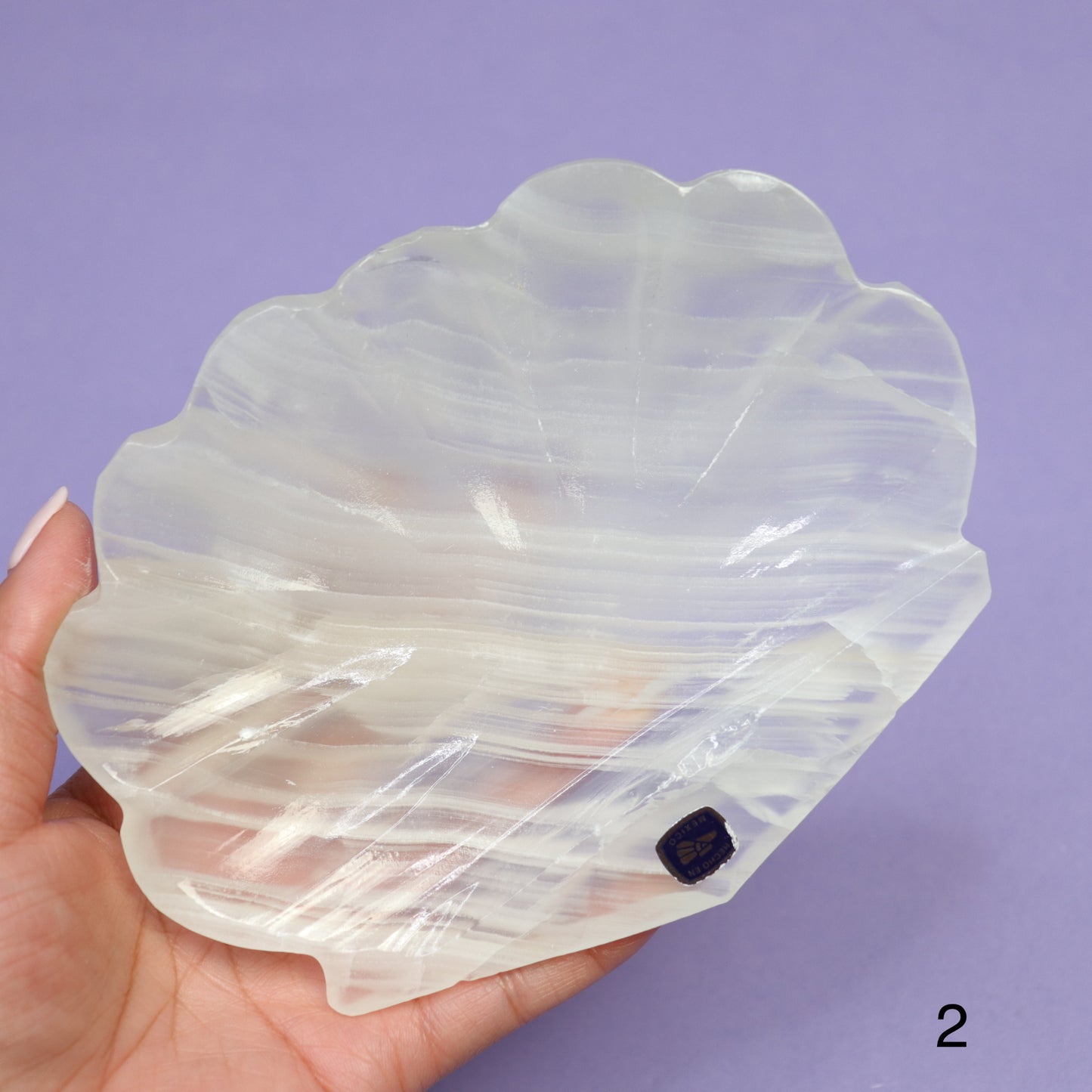 Onyx Seashell Bowl - Crescents & Crystals