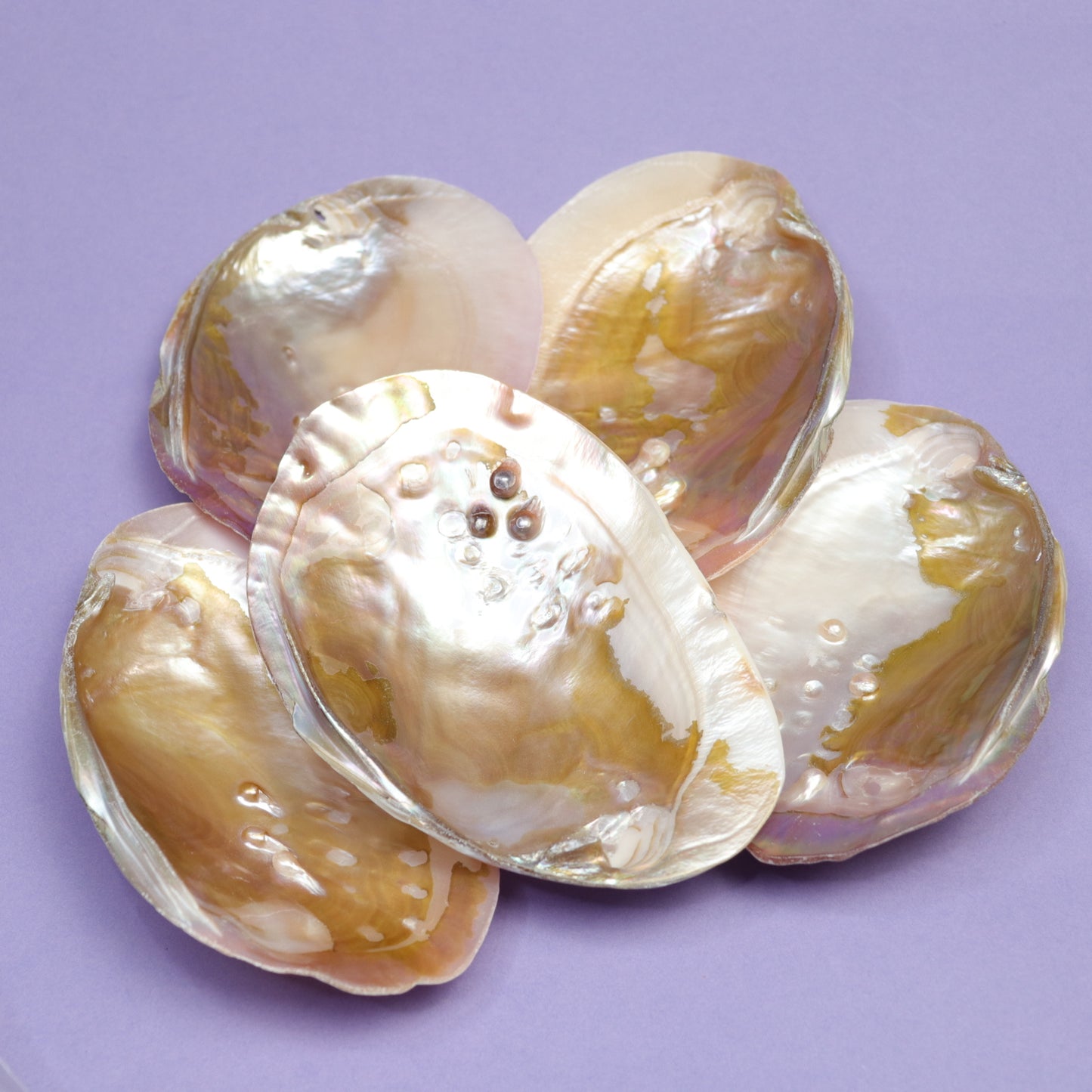 Pearl Shell
