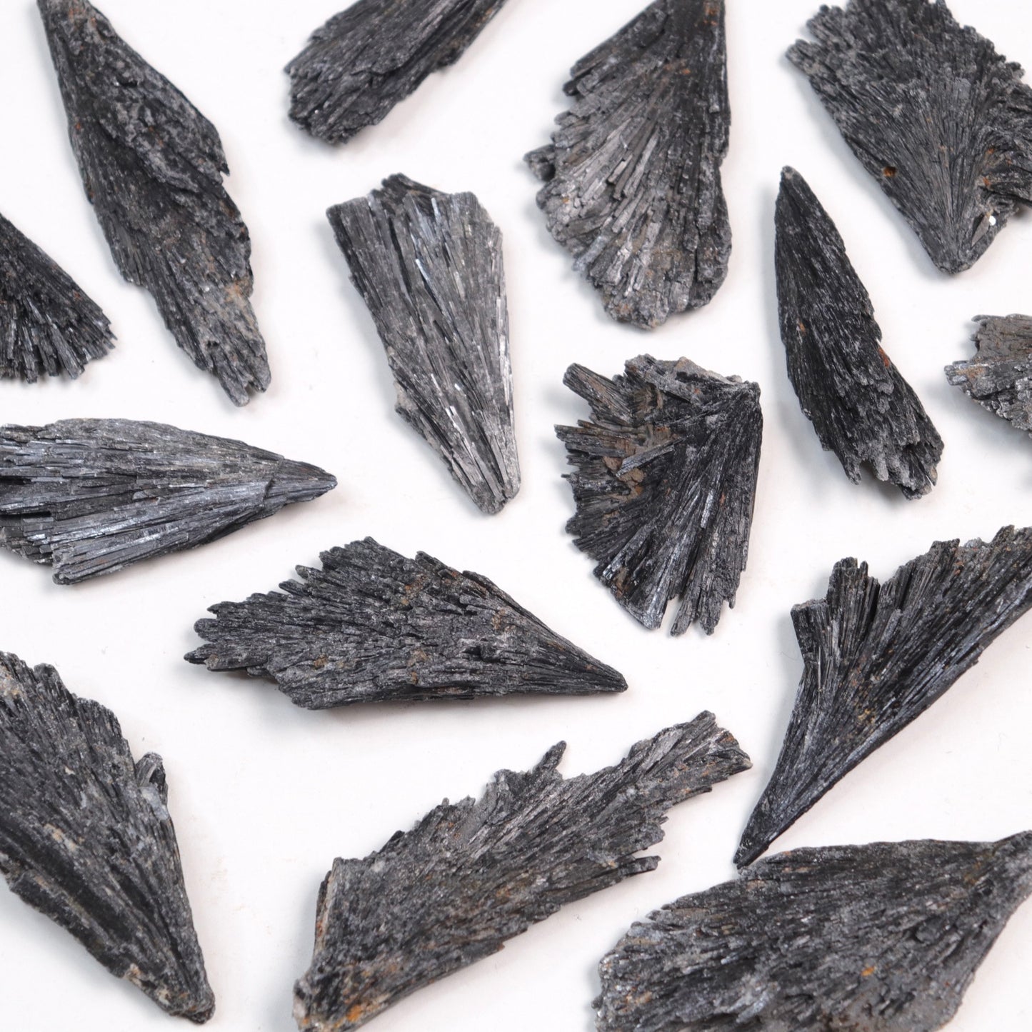 Raw Black Kyanite