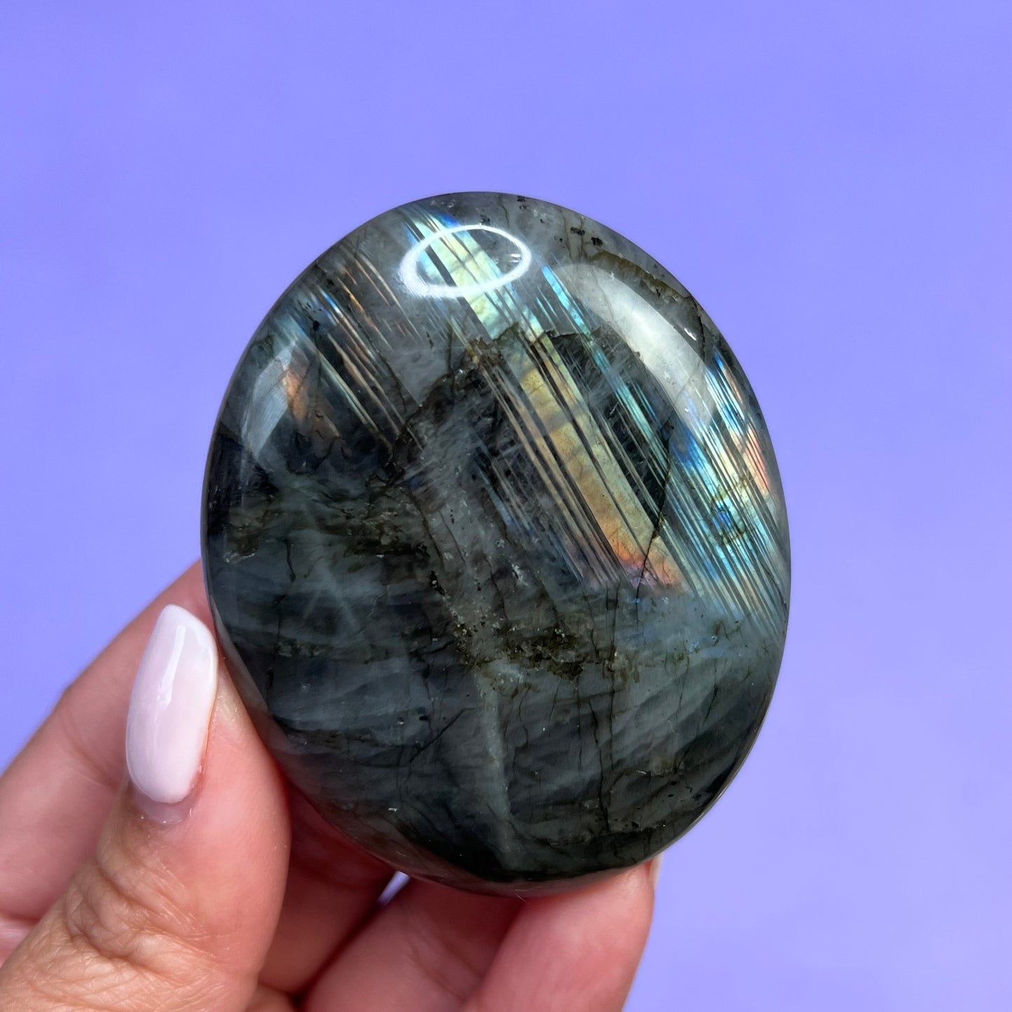 Labradorite Palm Stone - Crescents & Crystals