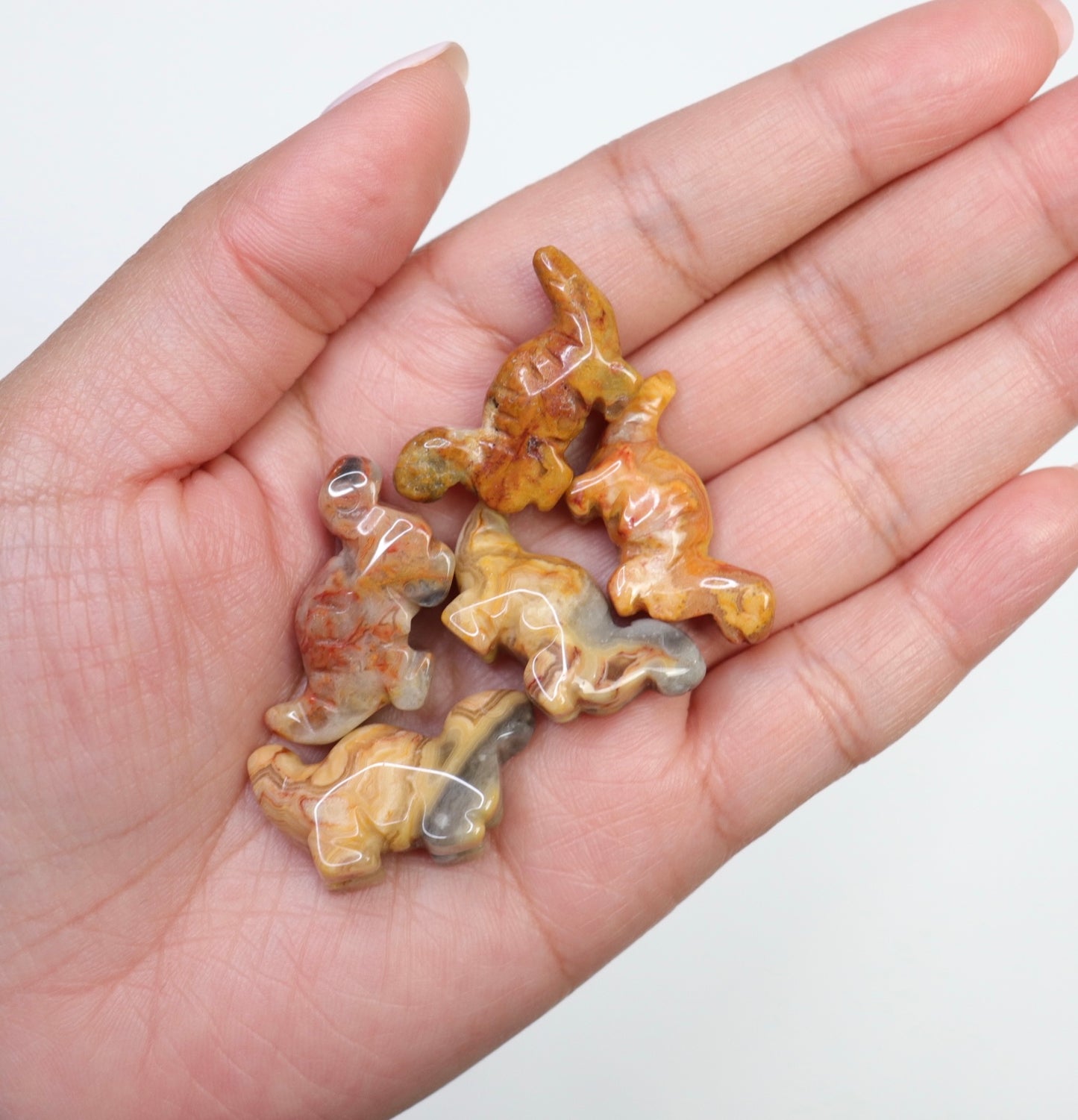 Crazy Lace Agate Dinosaur - Crescents & Crystals
