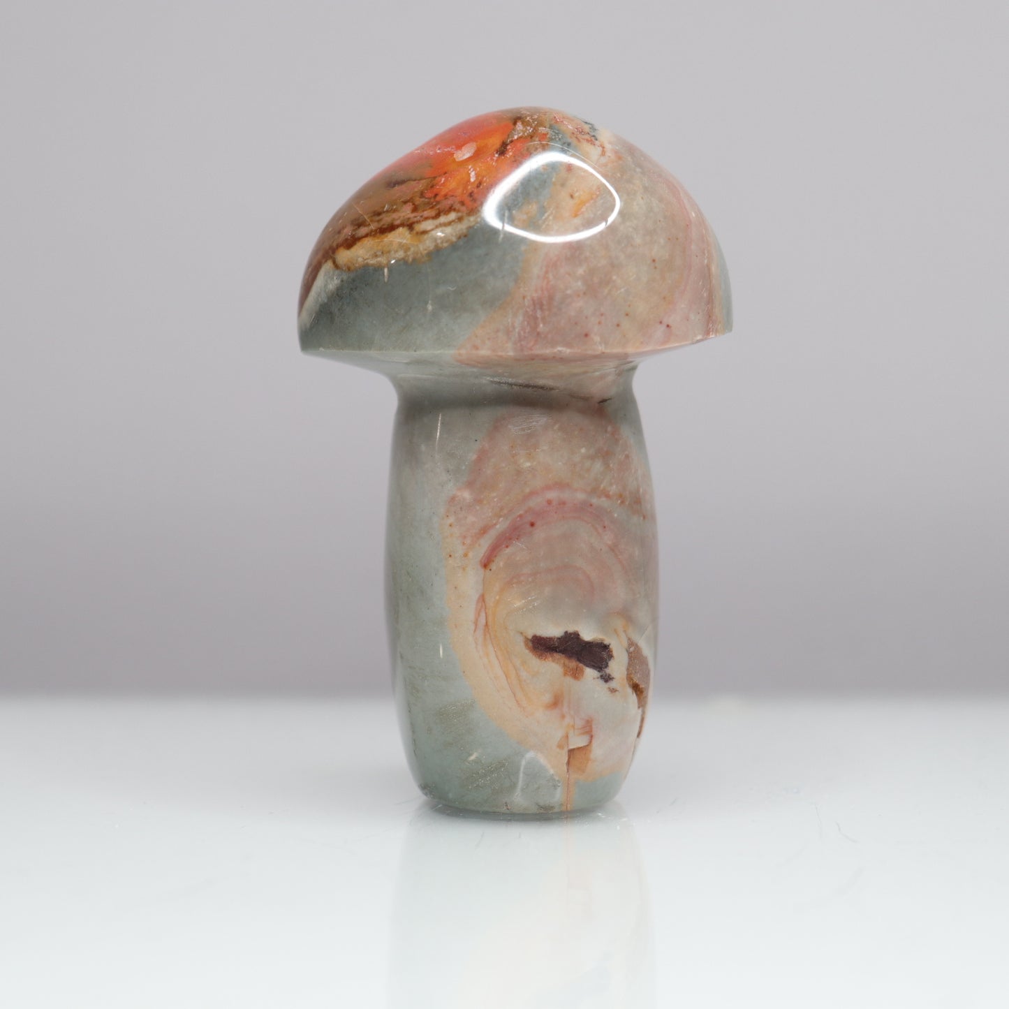 Polychrome Mushroom | 4