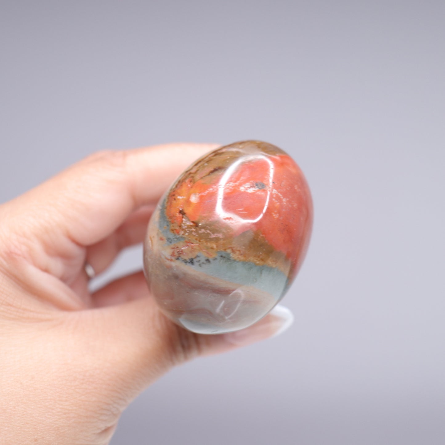 Polychrome Mushroom | 4