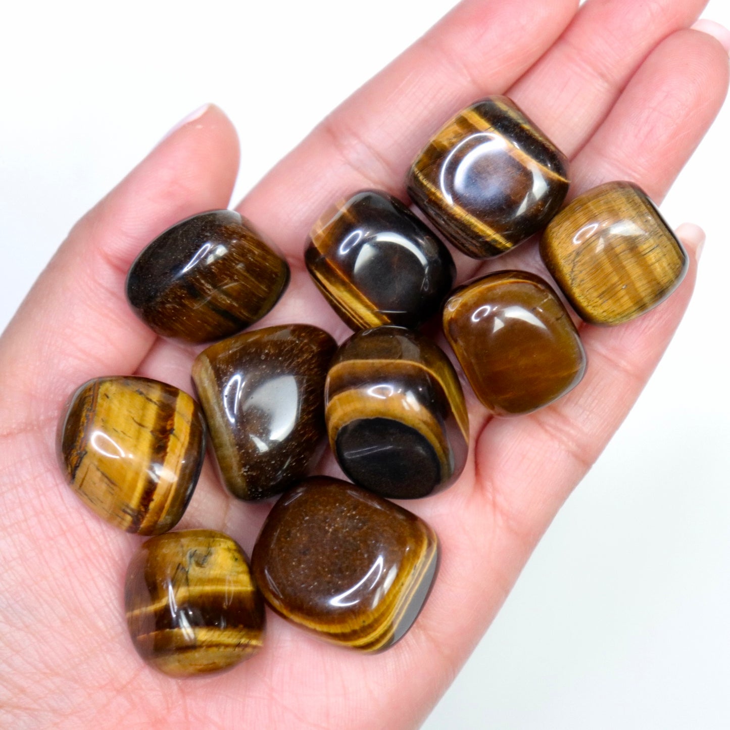 Tiger Eye Tumbles - Crescents & Crystals
