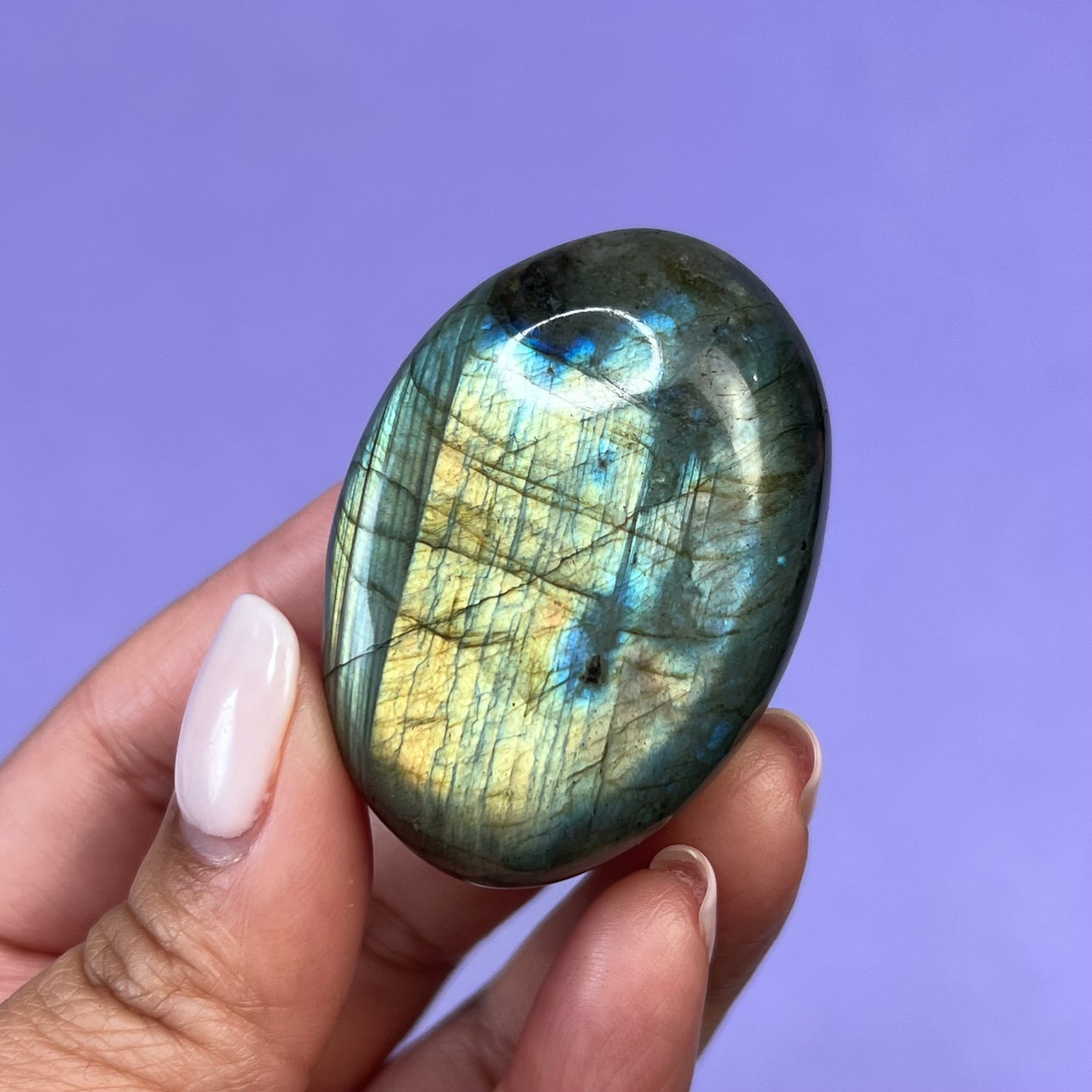 Labradorite Palm Stone - Crescents & Crystals